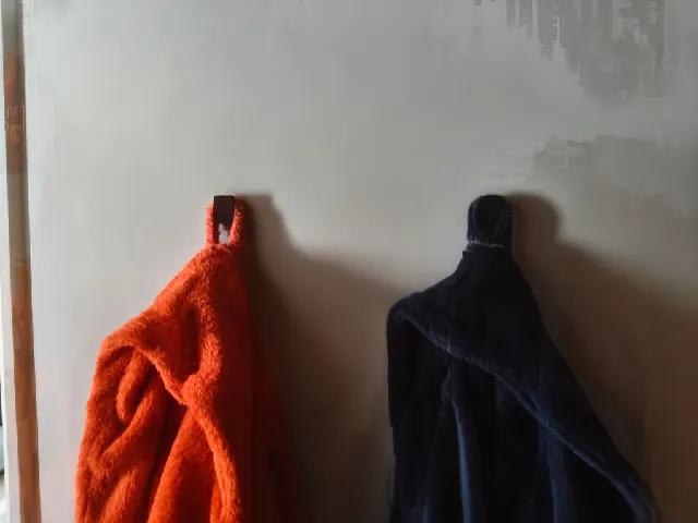 coat hook