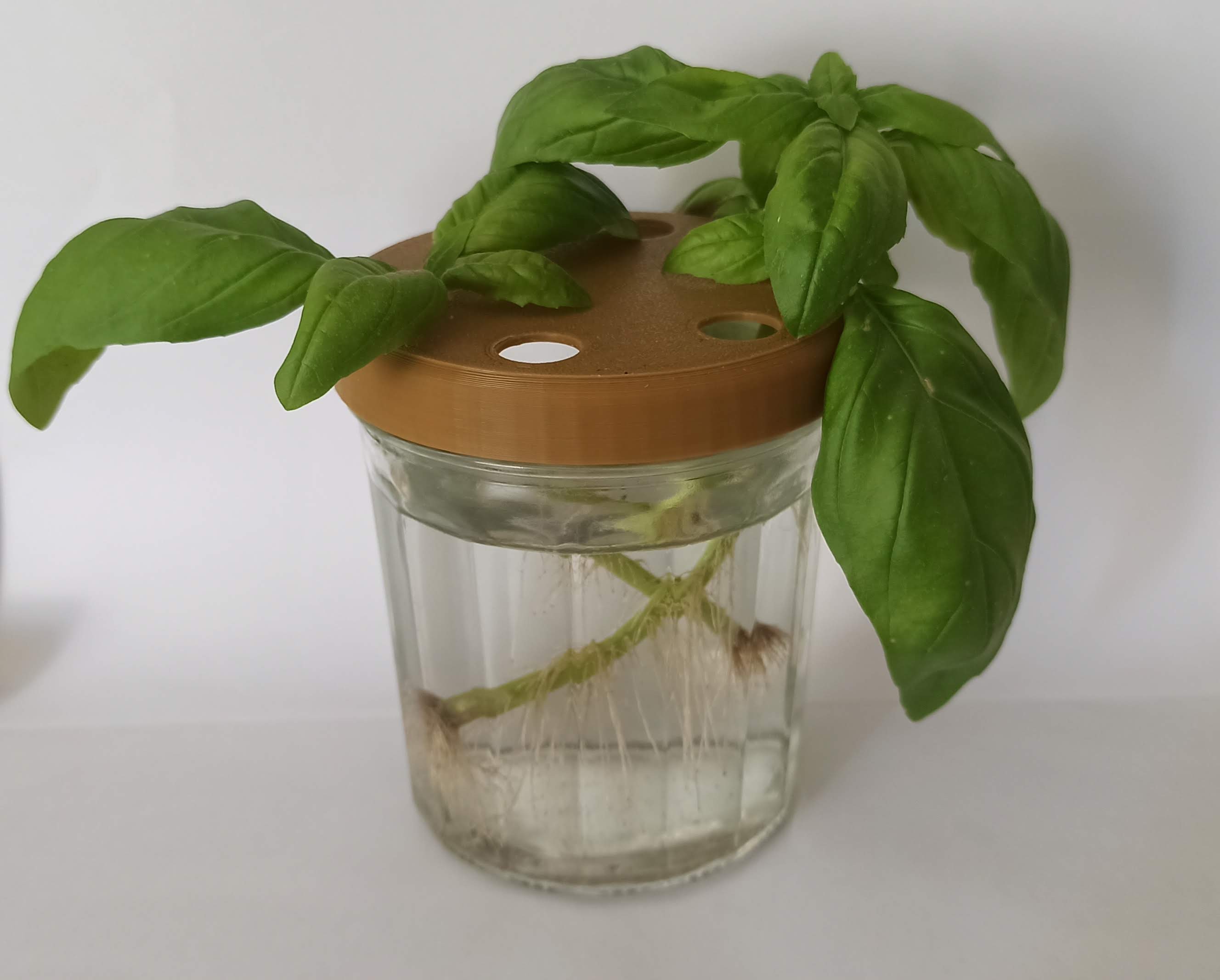 Hydroponic Nursery Propagation Lid