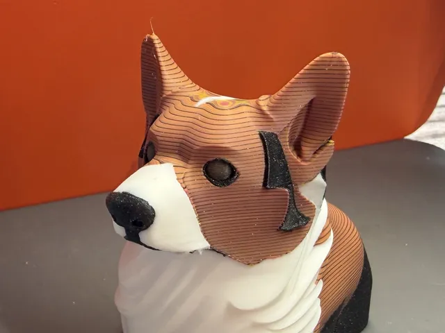 Tri-Color Corgi, Seamus