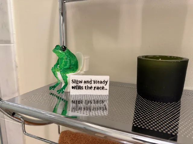 WC Frog + Joke - Bathroom Decoration