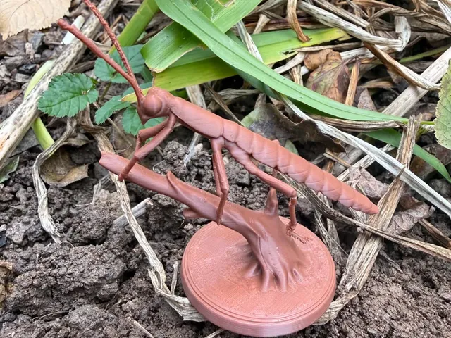Realistick Stick insect on a stick