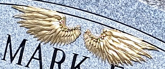 Flat mount Angel Wings