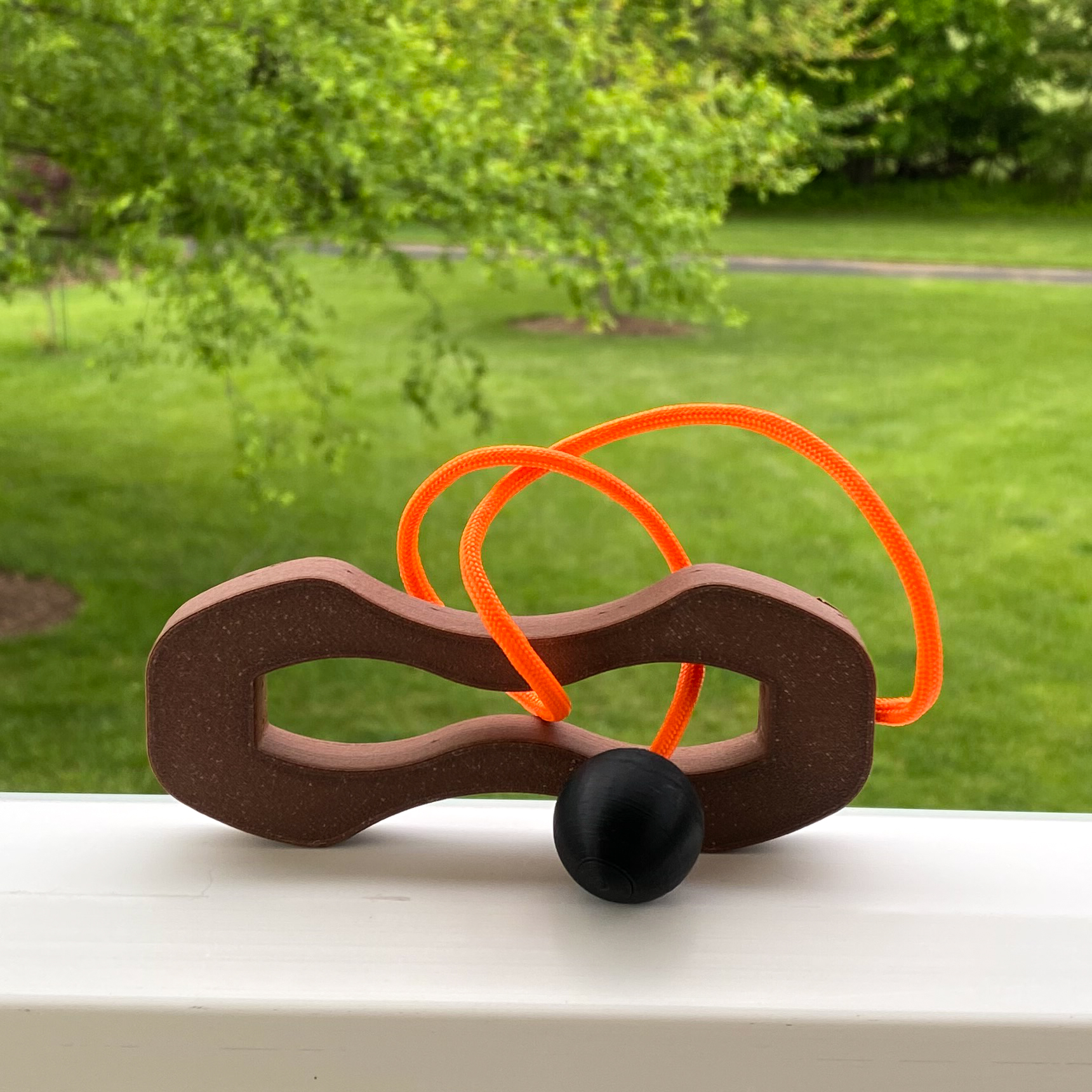 Disentanglement Puzzle