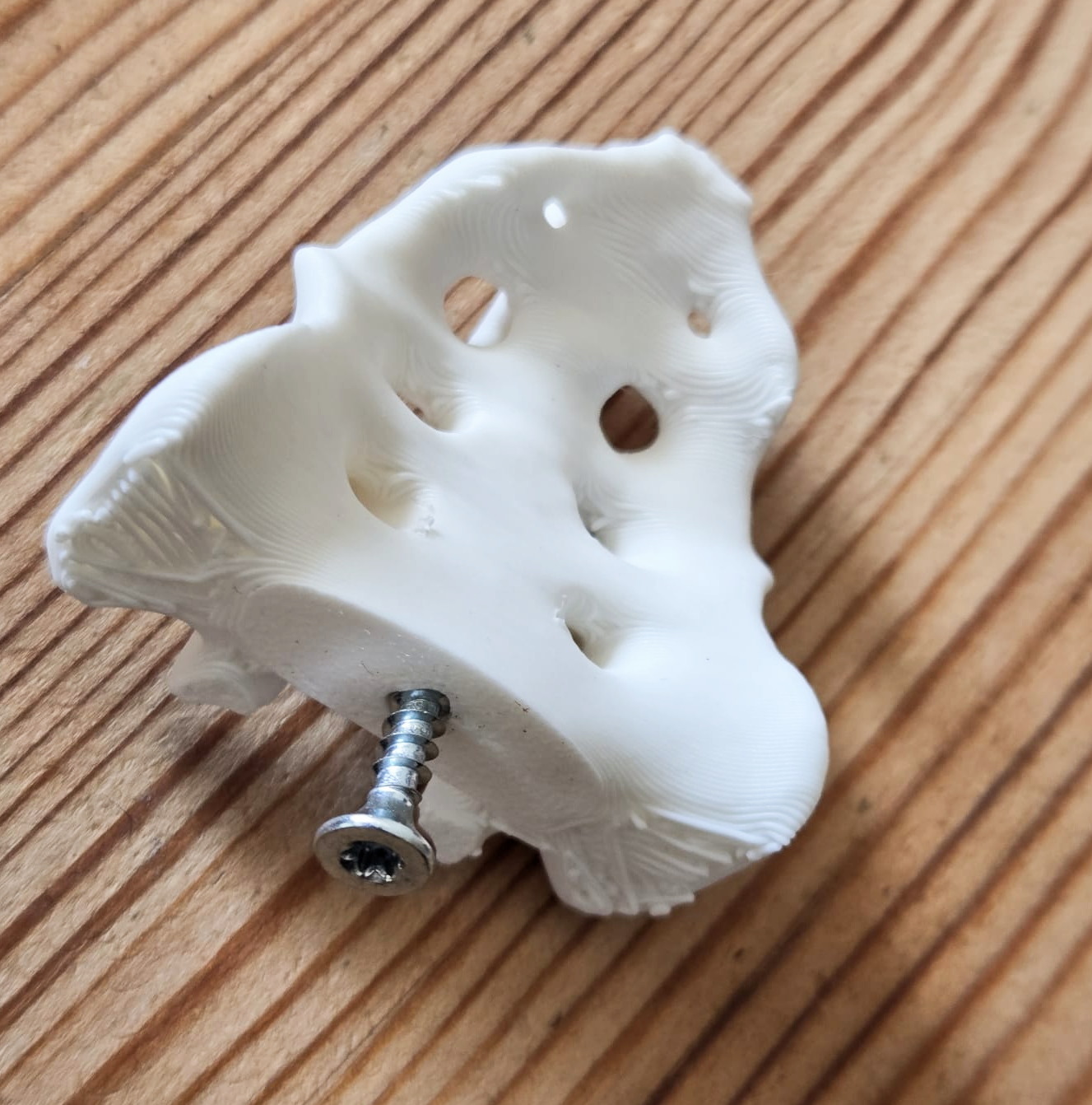 Sacrum Bone Drawer Knob — miniatura 2