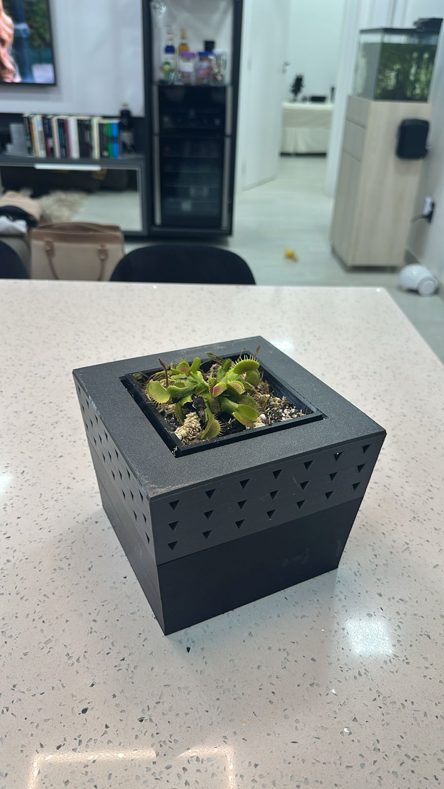 Self-Watering Carnivorous Plant Pot with Heat Shield