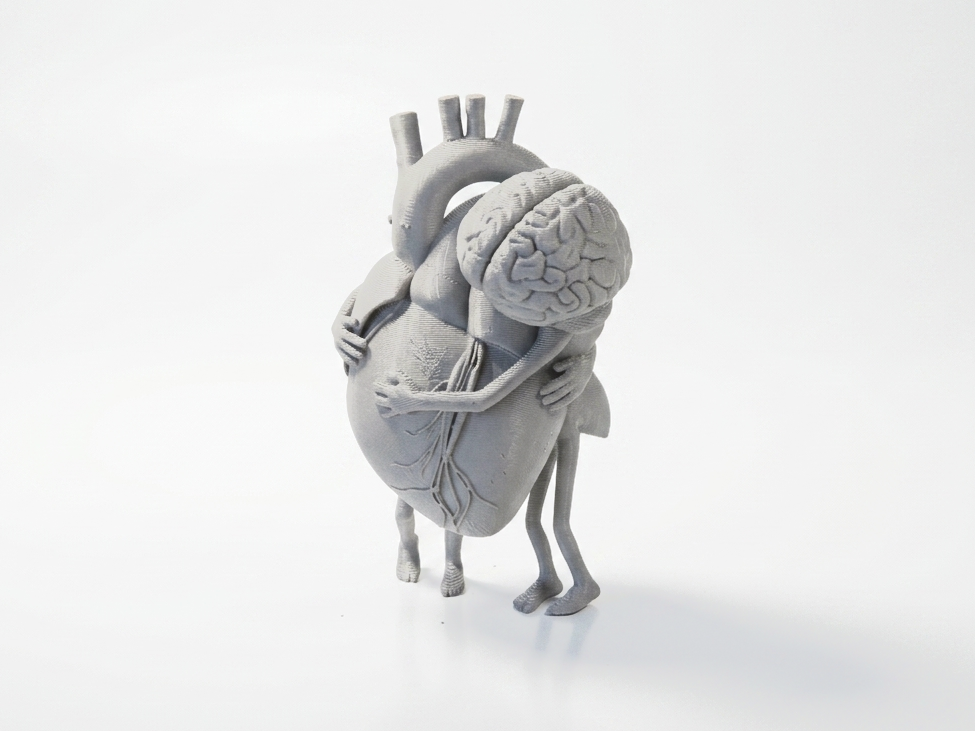 Heart And Brain Embrace Sculpture 3D Printable