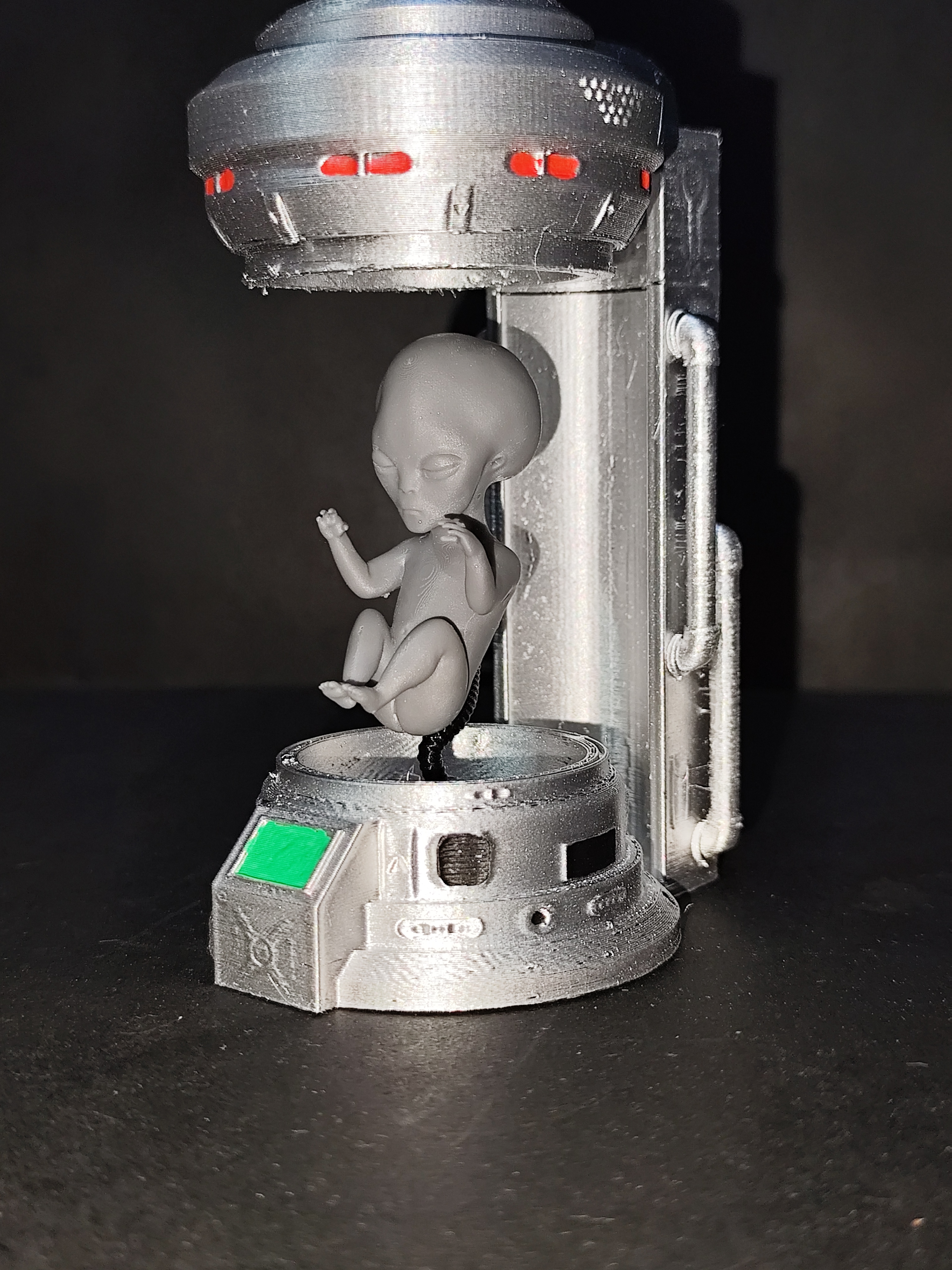 Miniatura 6 do modelo 3D GREY ALIEN FETUS