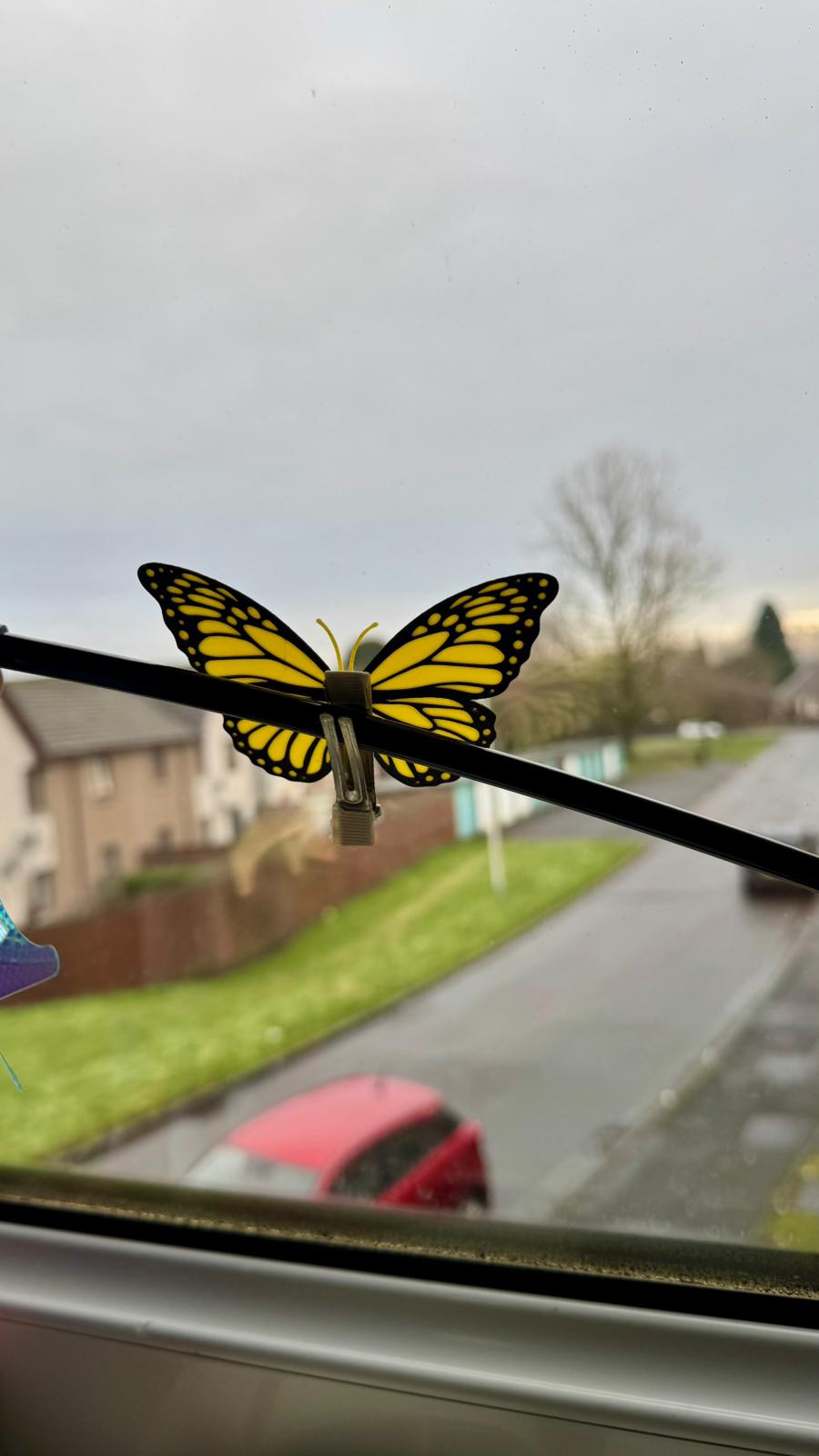 Multicoloured Butterfly Magnet/Hair Clip Decoration