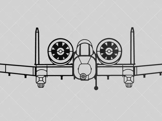 A-10 Warthog Wallart in one piece
