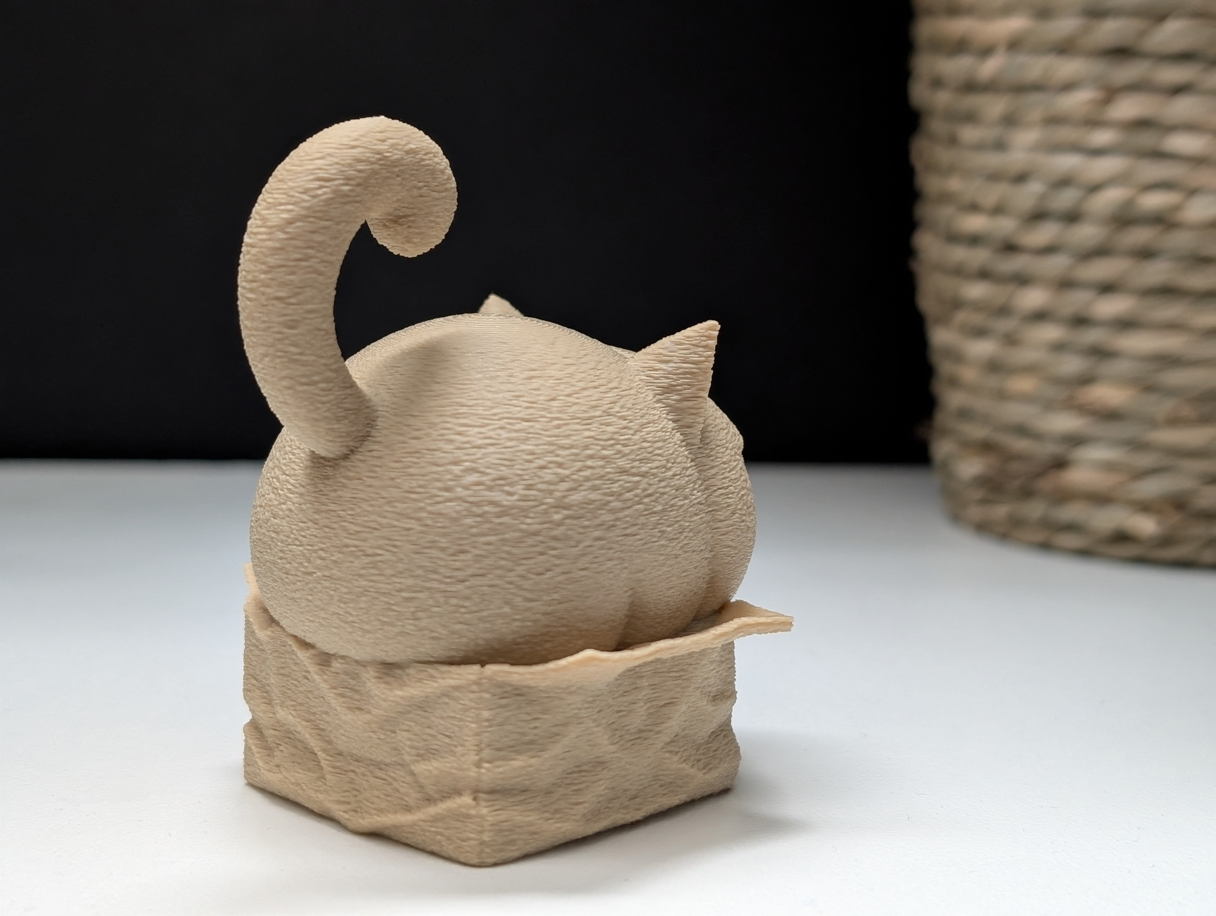 Miniatura 5 do modelo 3D Grumpy Cat "in" a Box