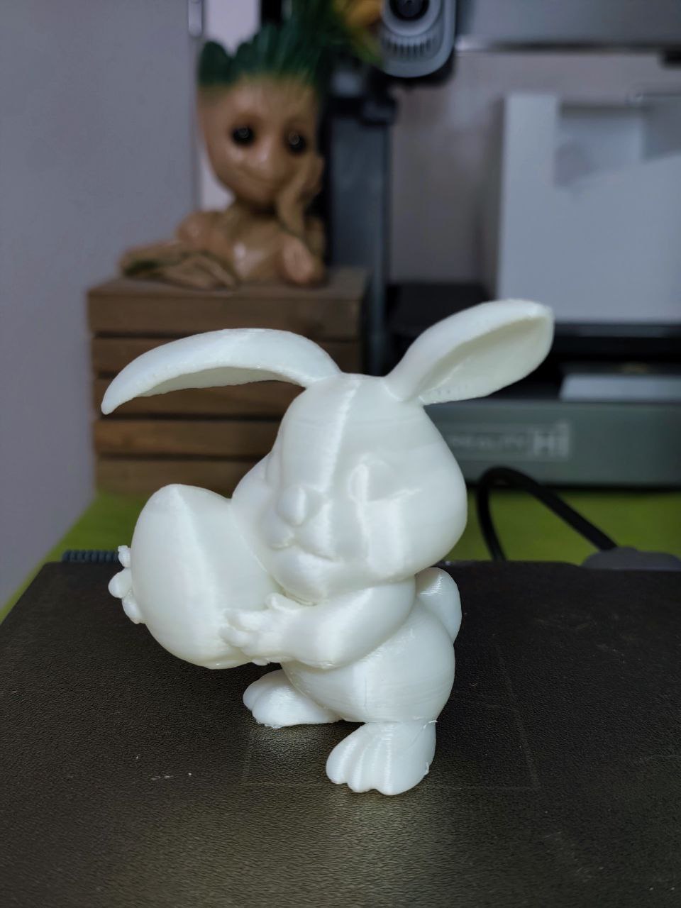 Surprise Rabbit