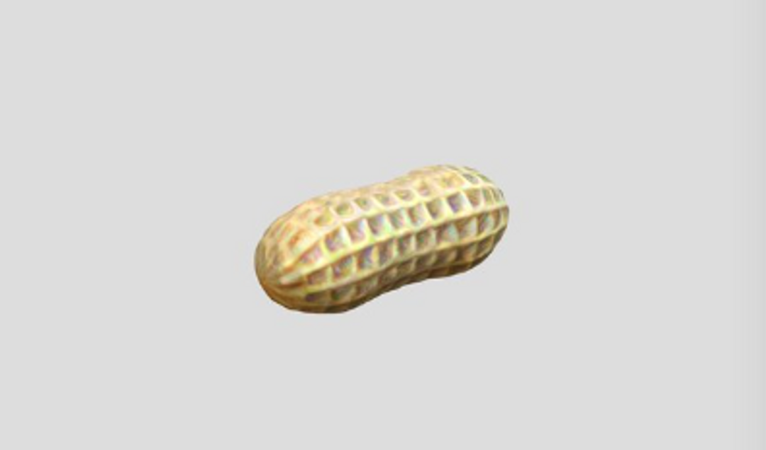 Peanut