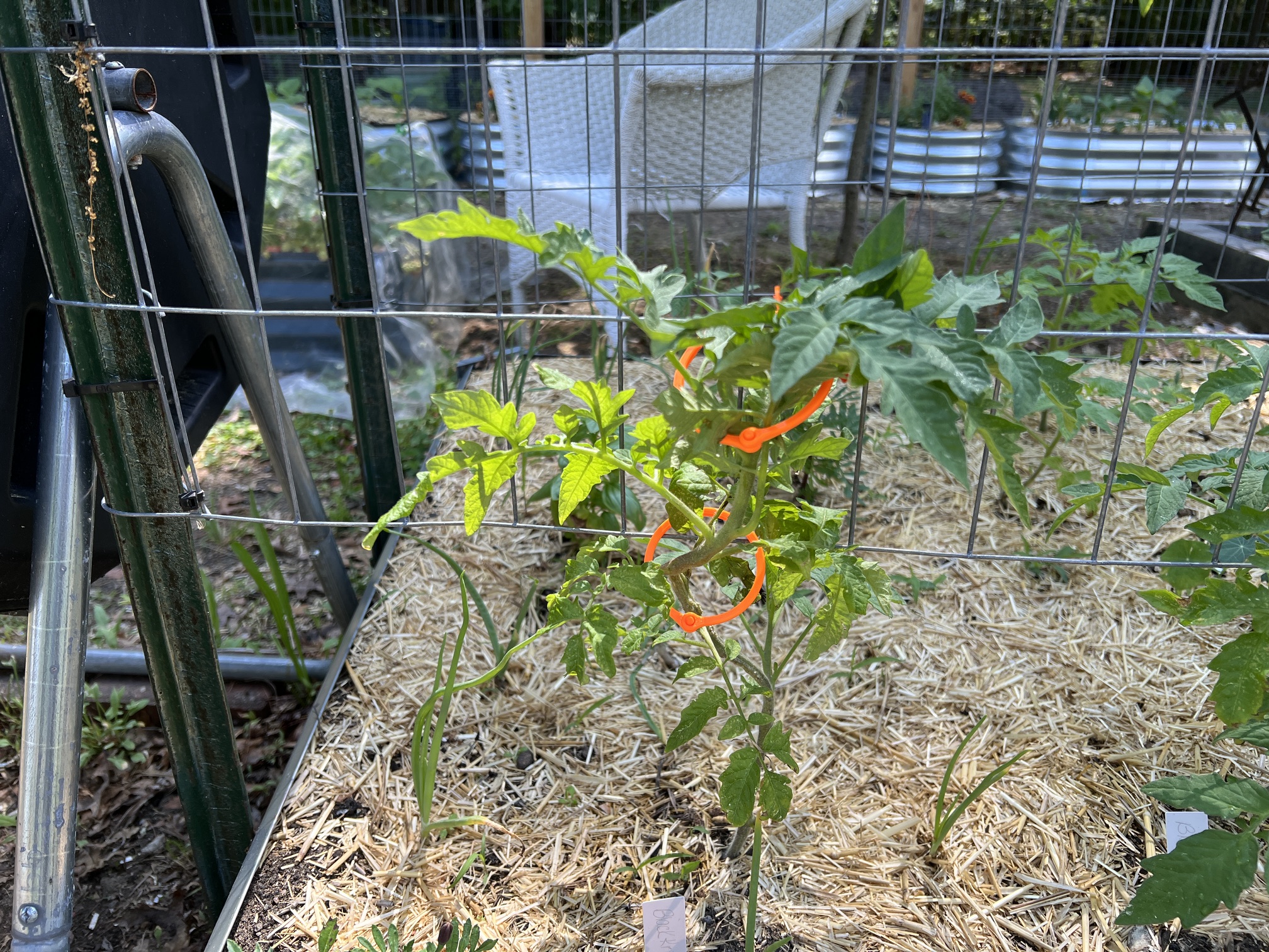 Plant trellis support hoops