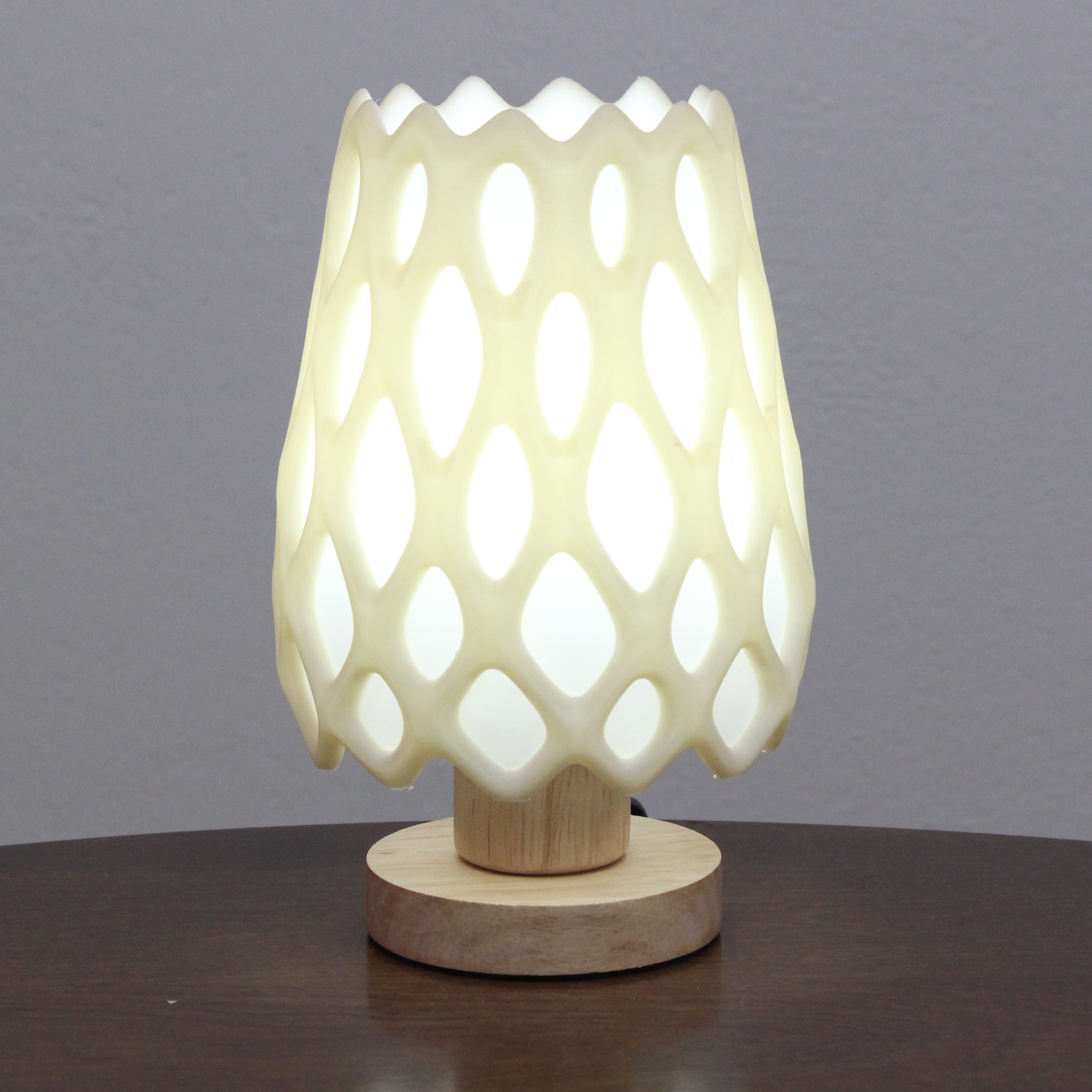 Cholla Cactus Lamp
