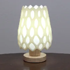 Cholla Cactus Lamp