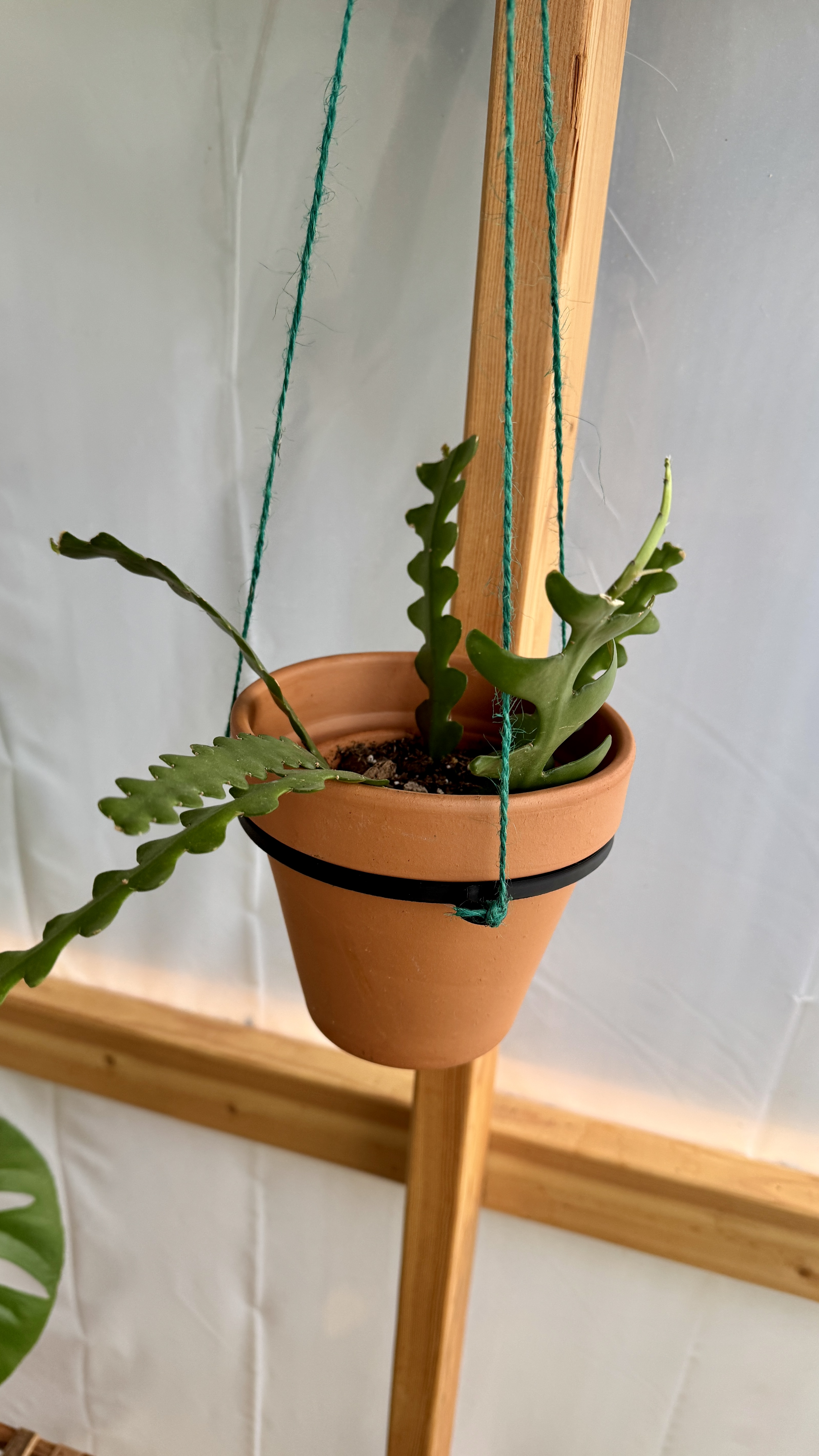 Miniatura 4 do modelo 3D Universal Hanging Planter Ring