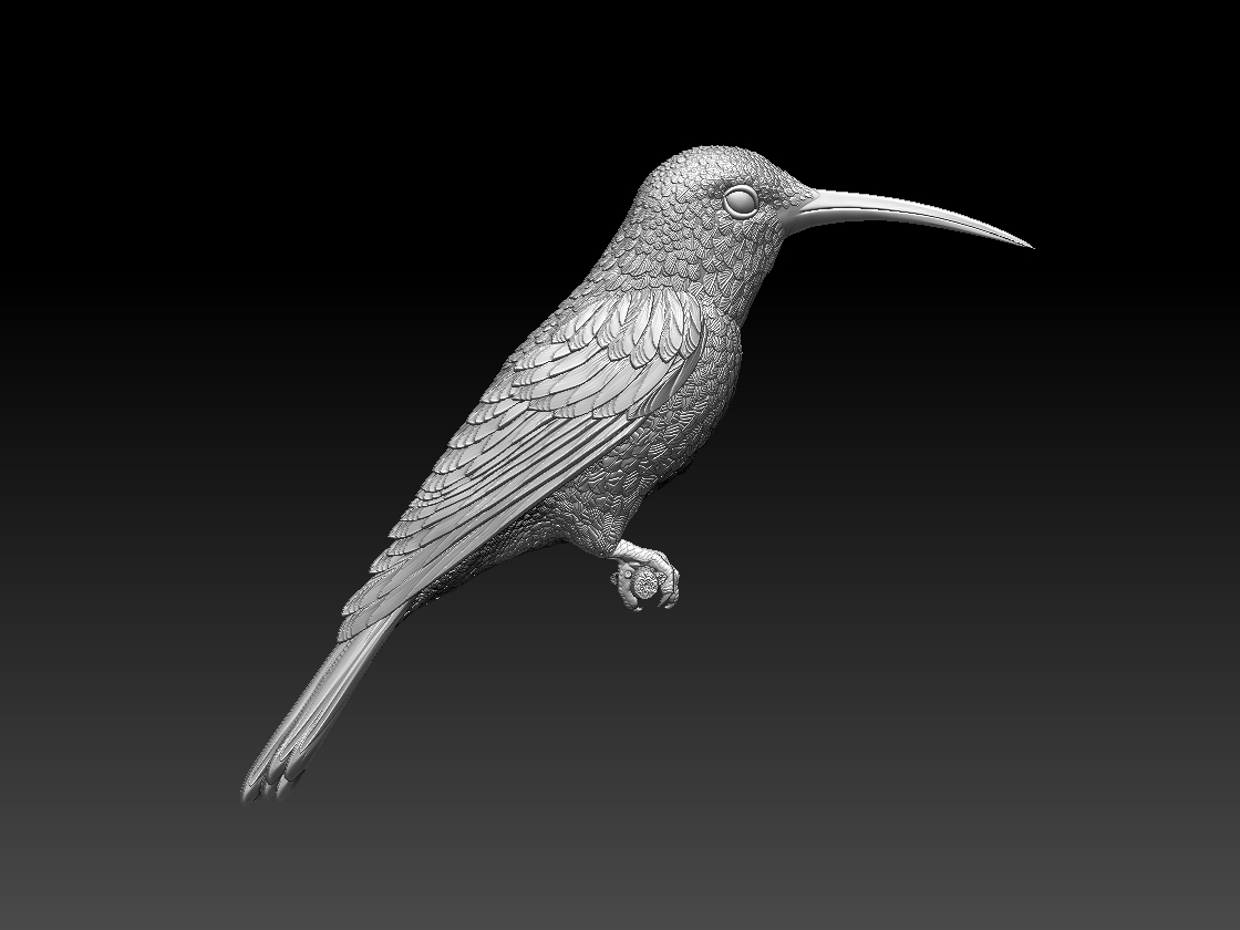 hummingbird — miniatura 6