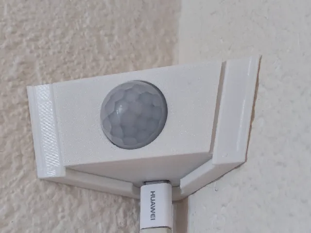 Corner Pir Case and Mount