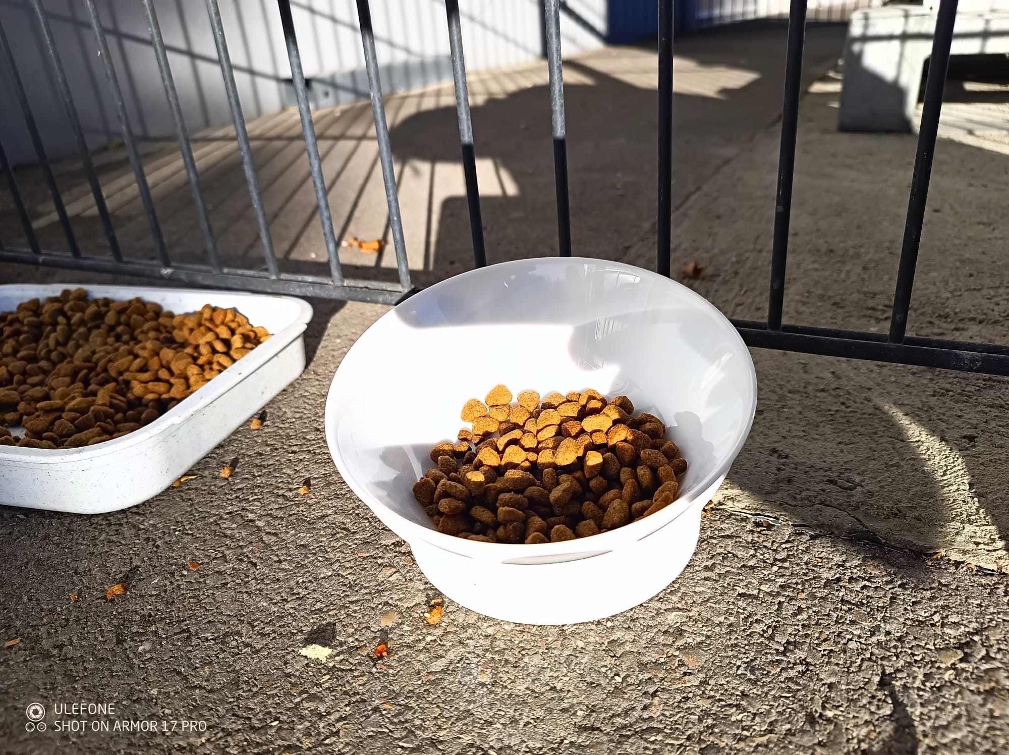 Cat Bowl Stand — STL Grátis | 3DFinder