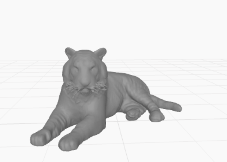 Tiger cat.