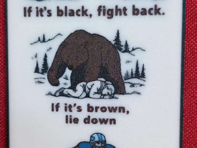 BYU How to Survive a Bear (Bachmeier) Attack