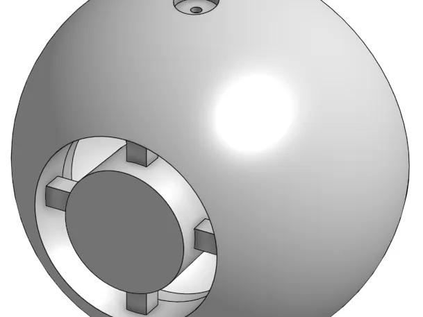 Globo ocular