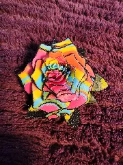Rainbow Rose