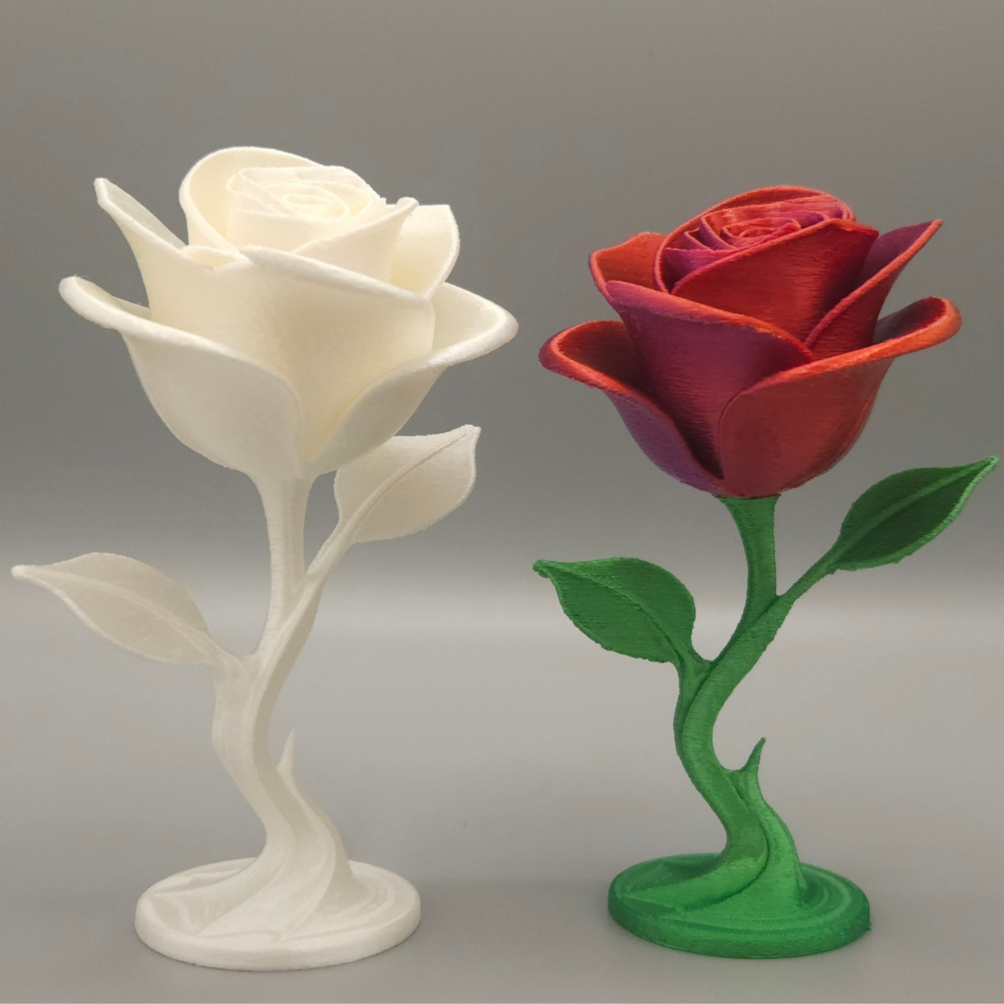 Eternal Rose