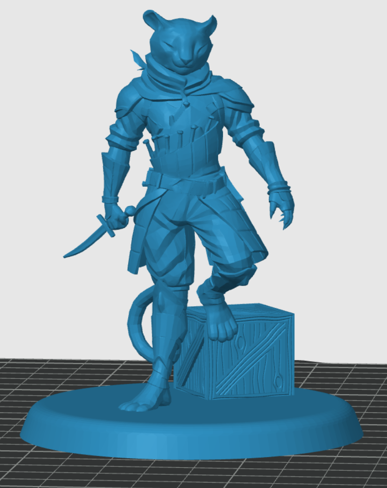 Tabaxi Rogue — miniatura 5