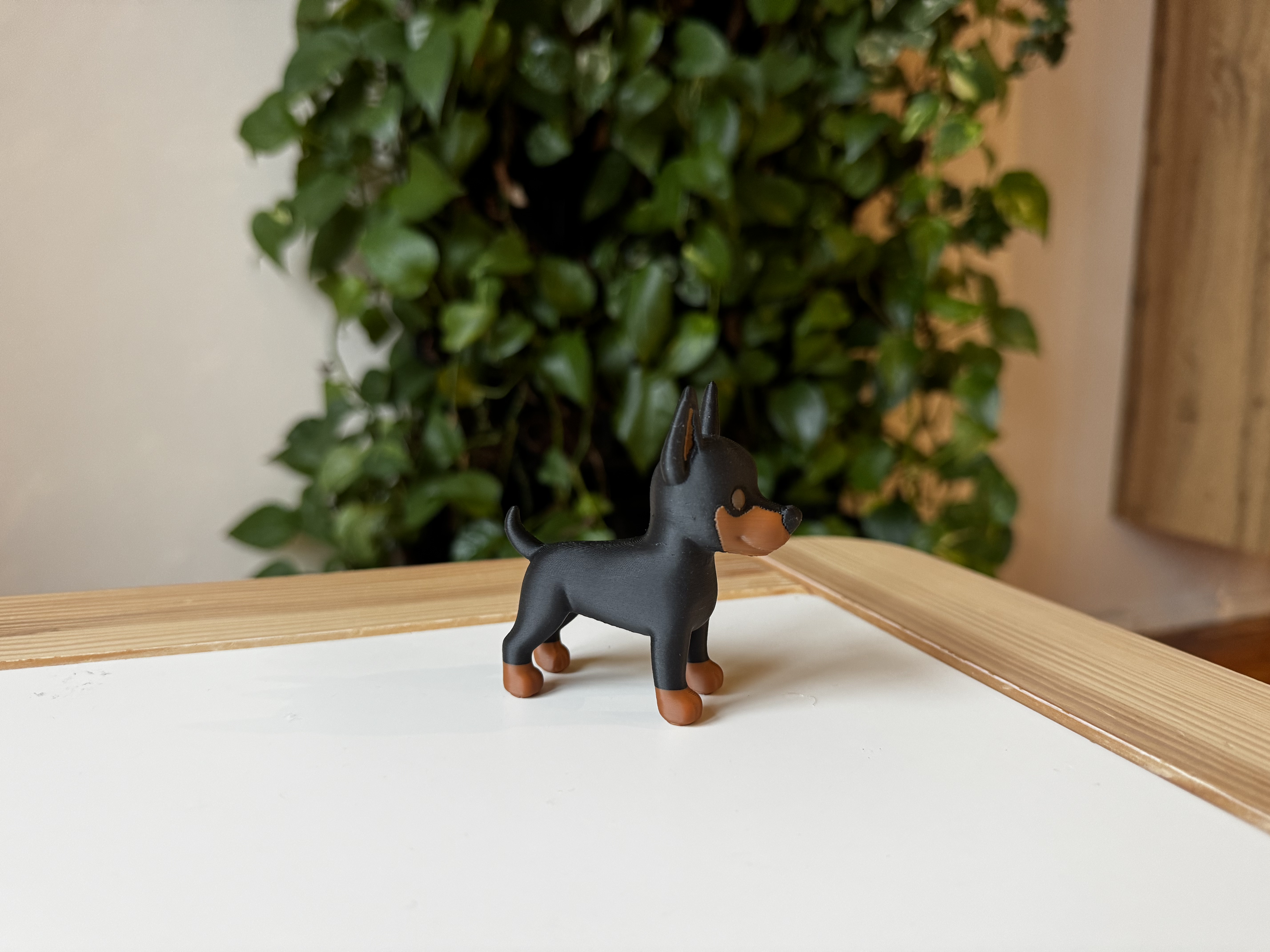 Miniatura 6 do modelo 3D Doberman Pinscher