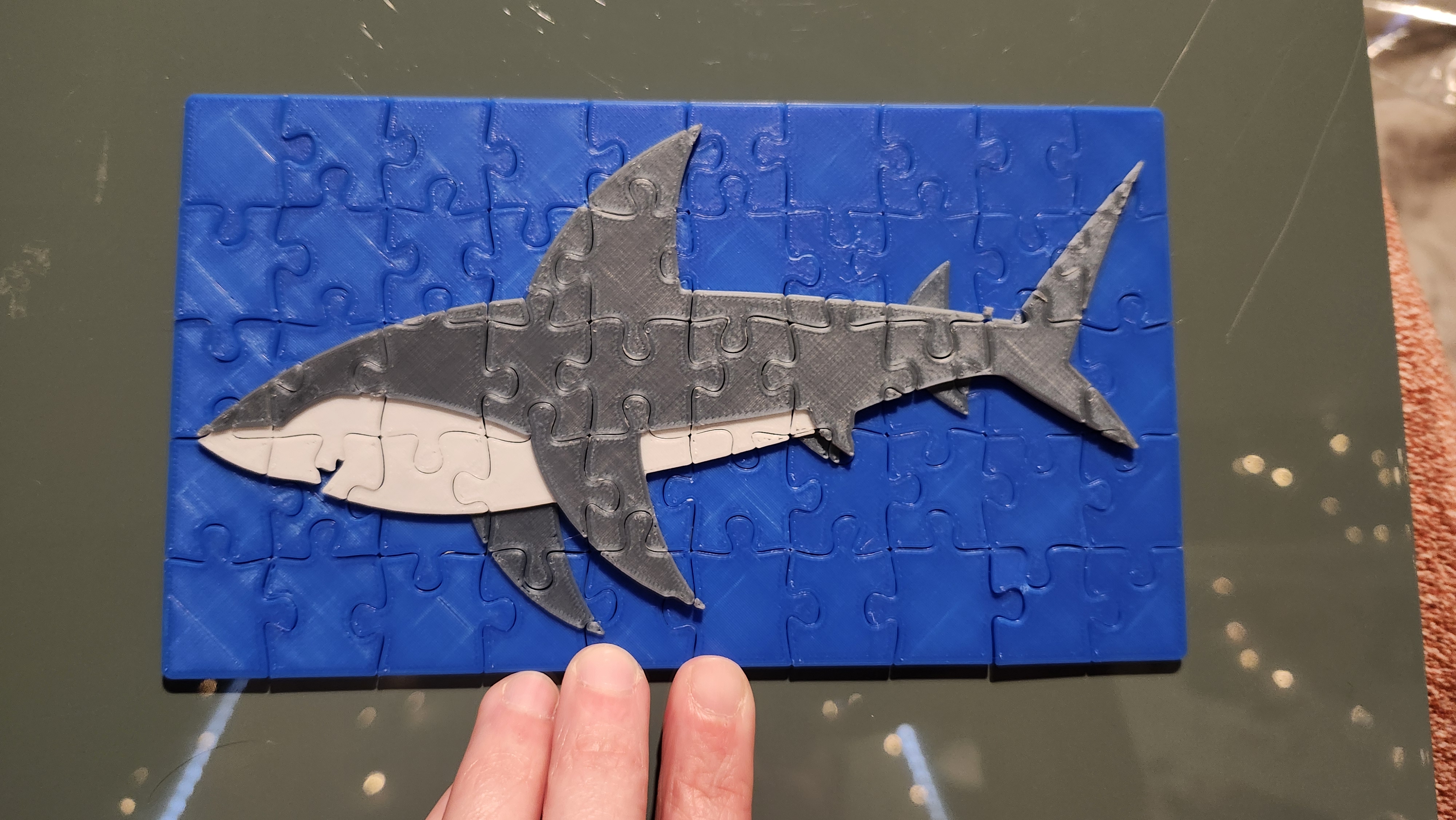 50 Piece Great White Shark Puzzle