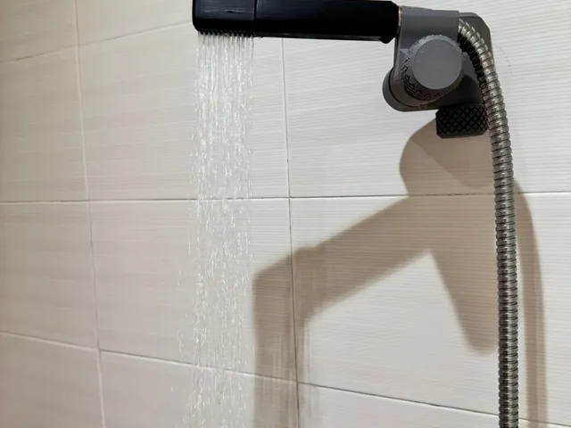 Hand shower