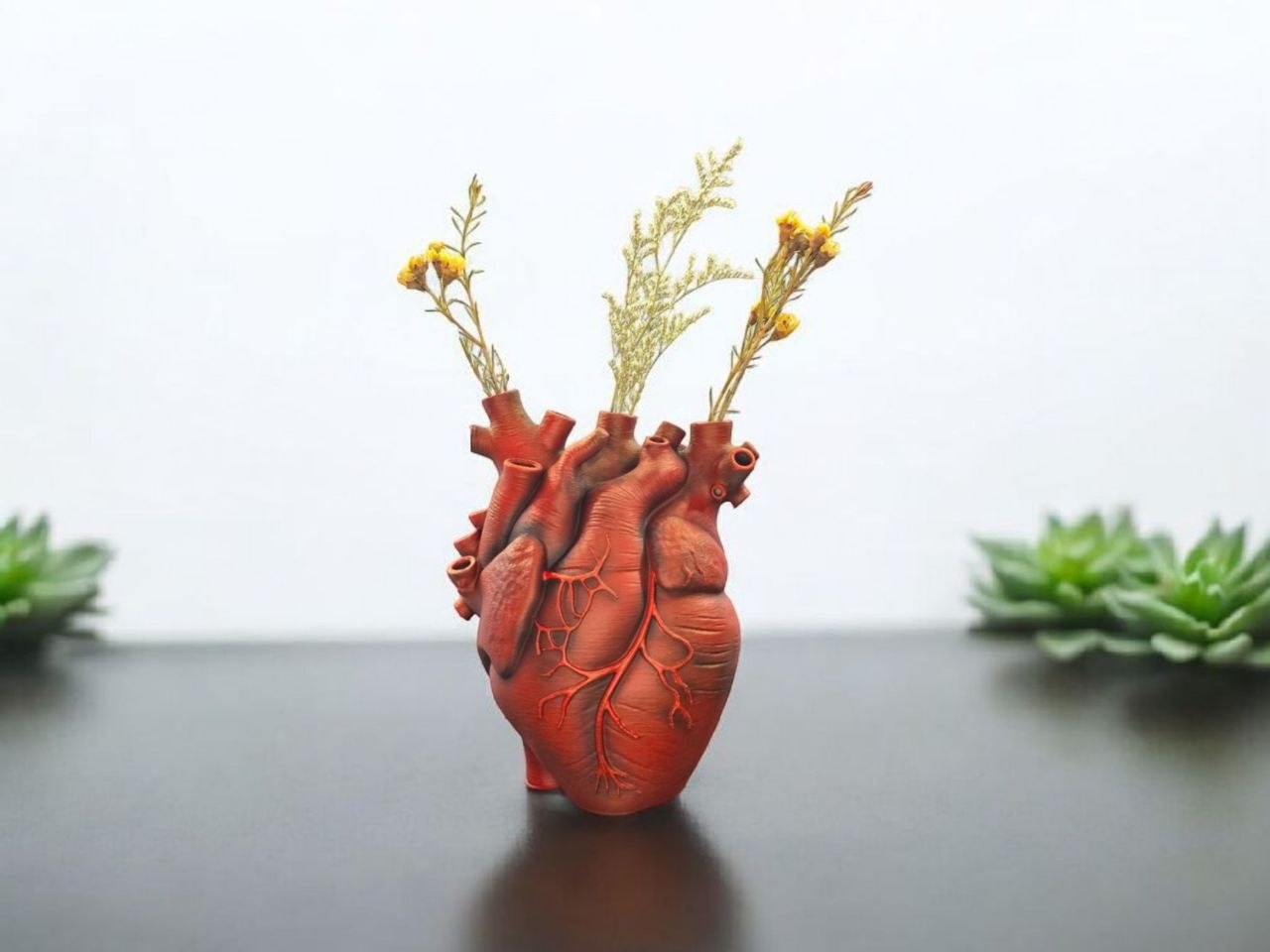 Anatomical Heart Vase