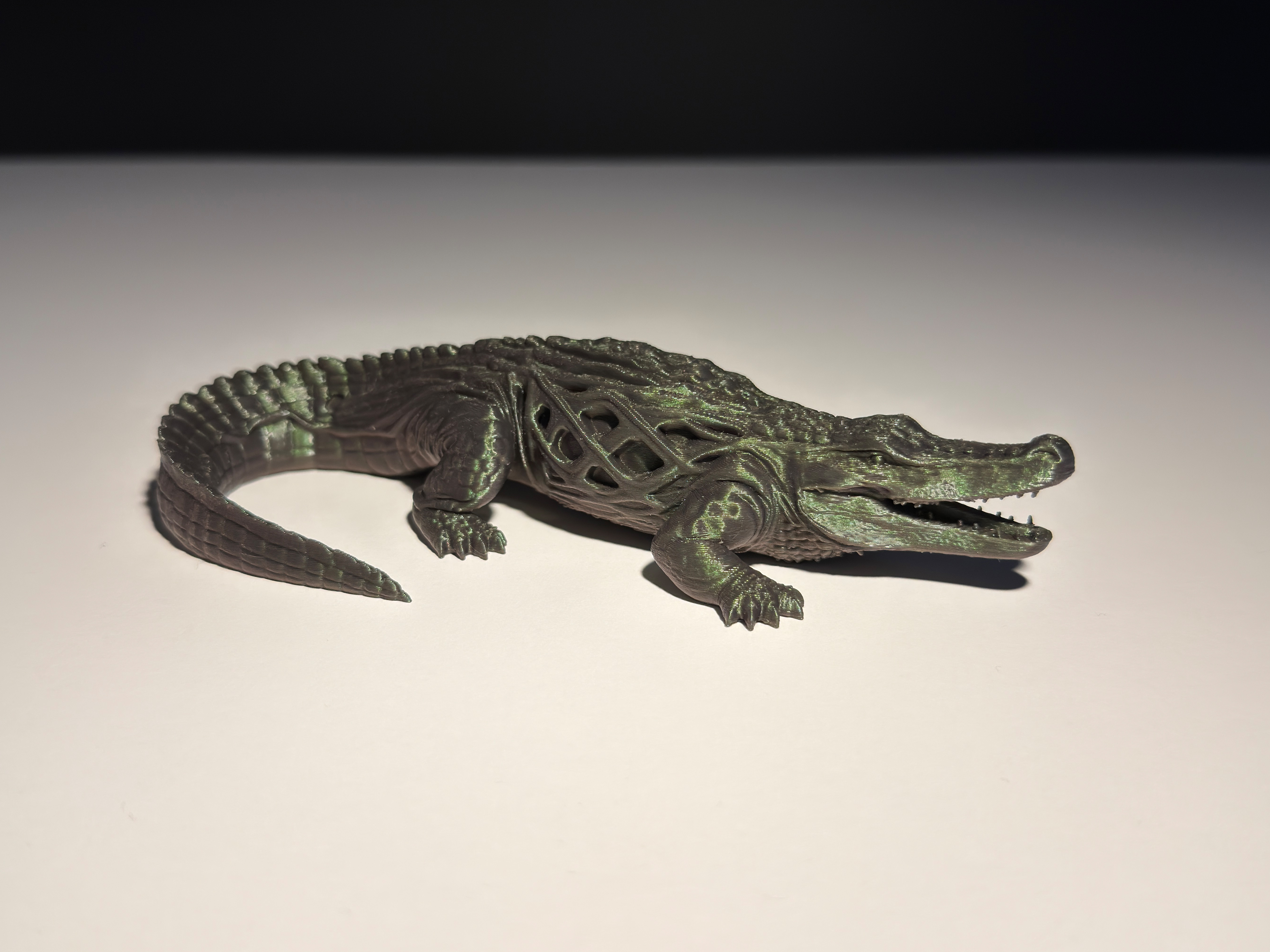 Crocodile