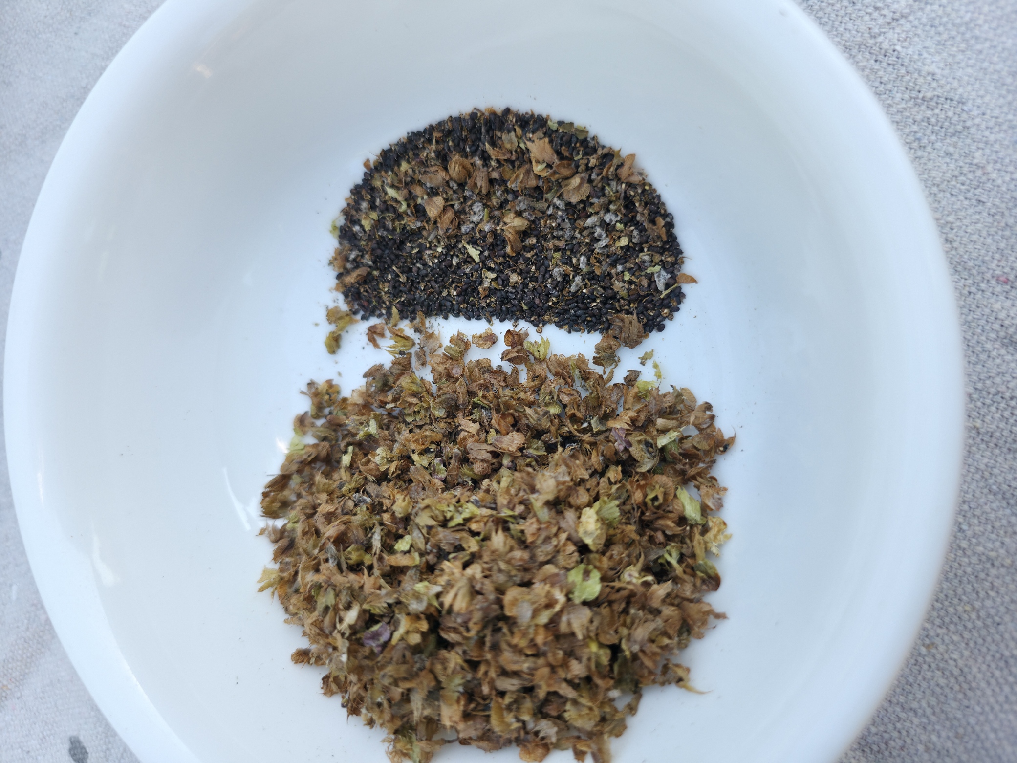 Basil Seed Thresher 2.0 — thumbnail 6