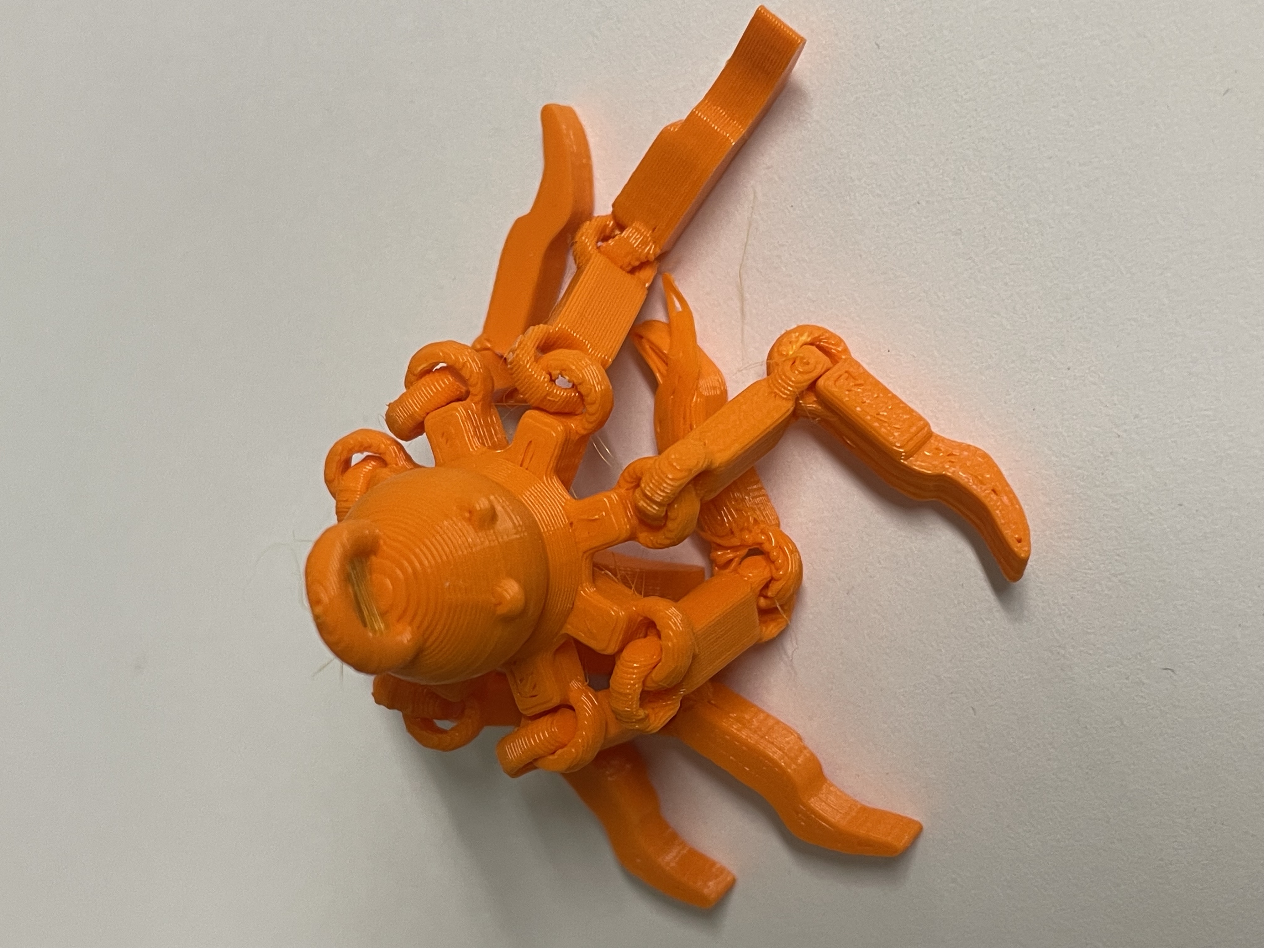 Octopus Flexy