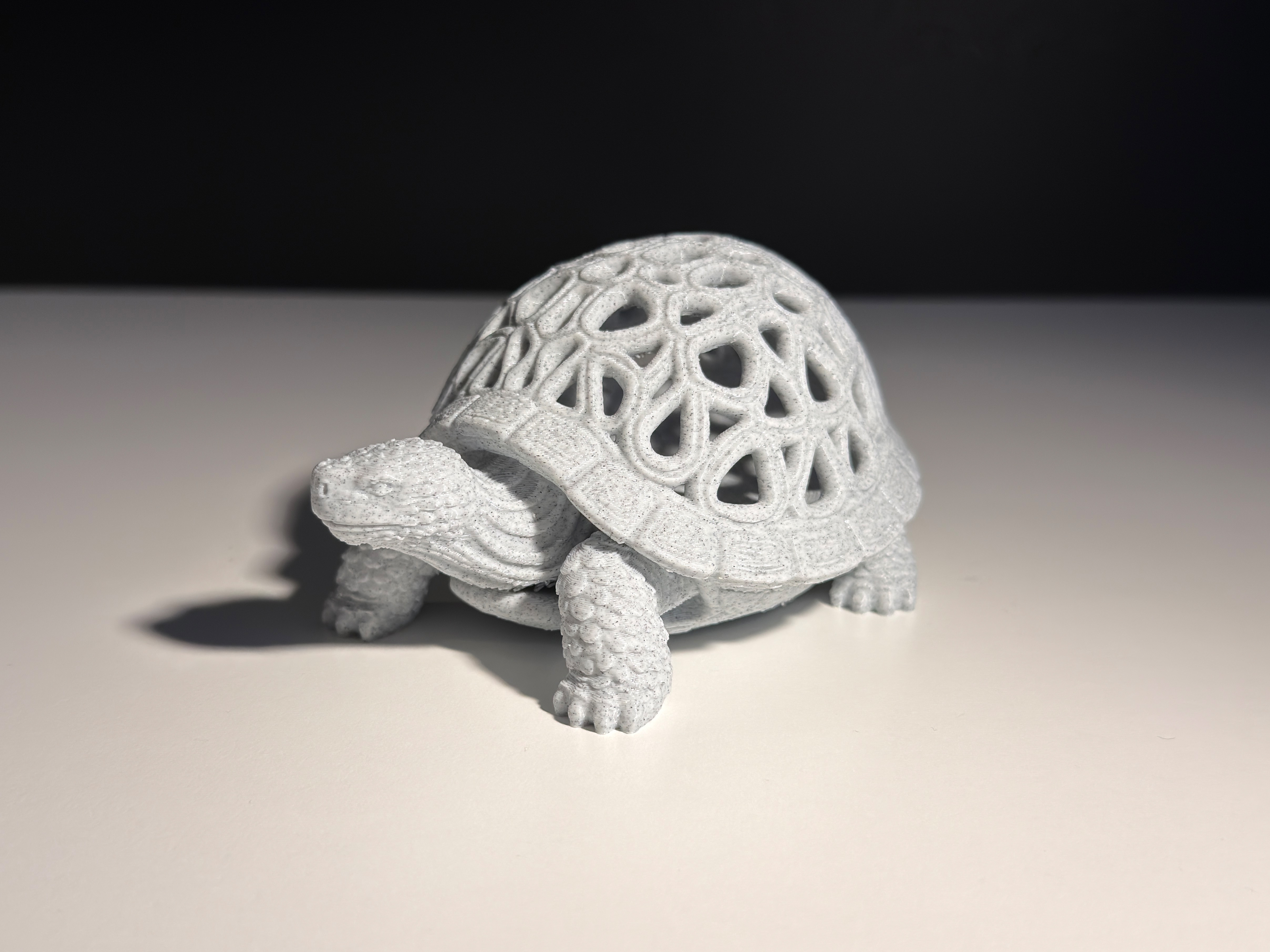 Turtle