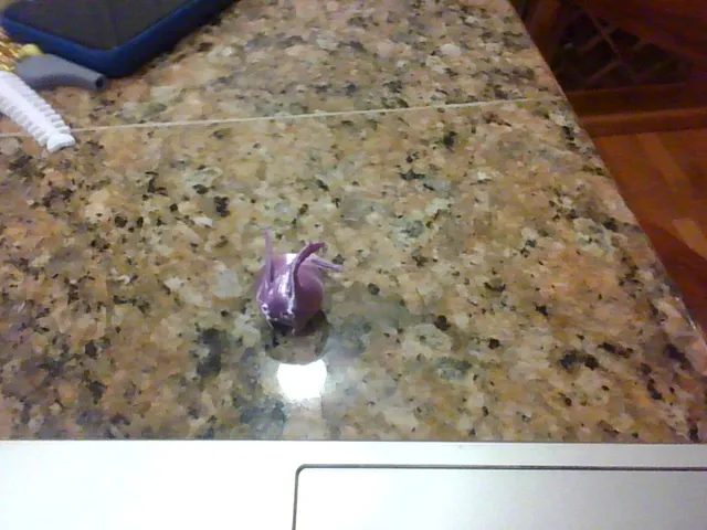 little bud