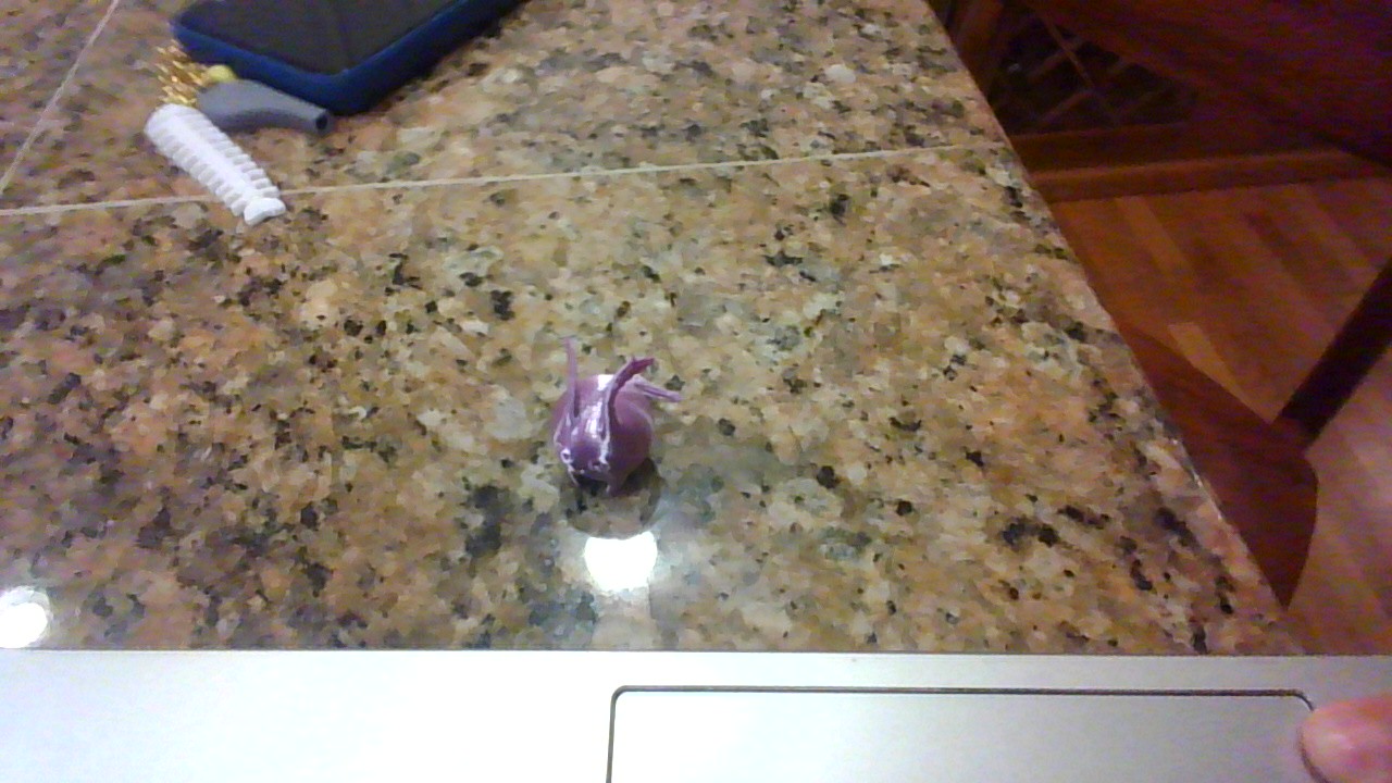 little bud