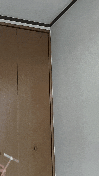 Taketombo (Bamboo Dragonfly)