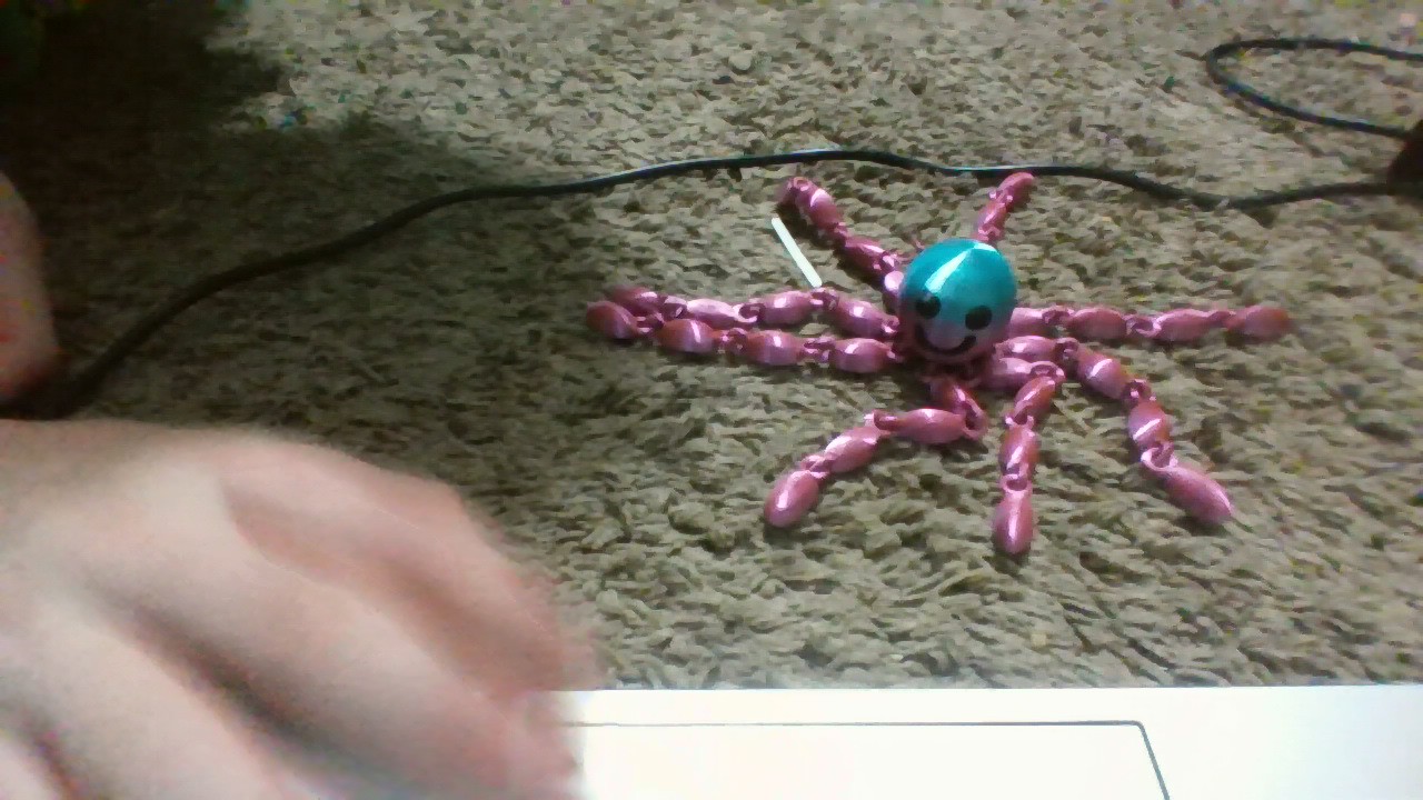 Octopus