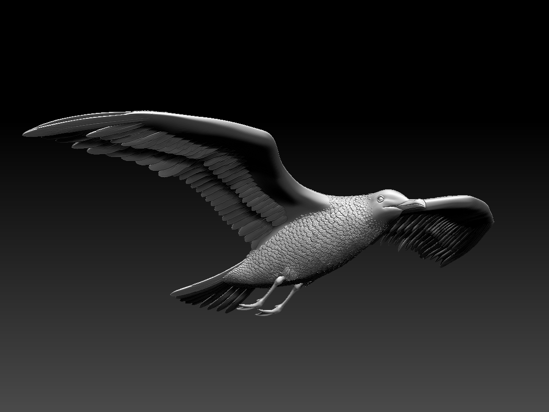 seagull — miniatura 3