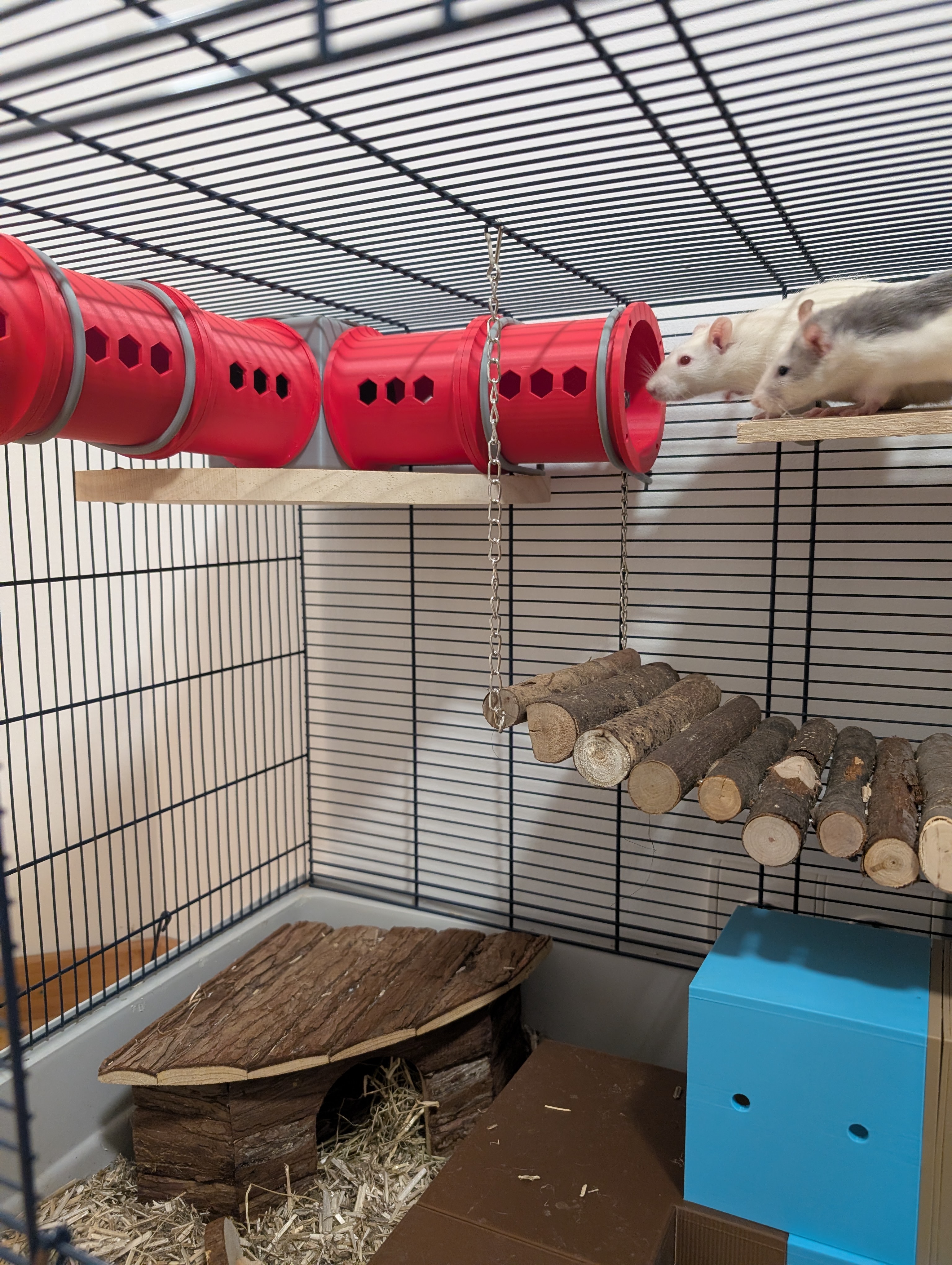 V2 Modular Rat & Rodent HQ - Customizable Tunnel 80 mm