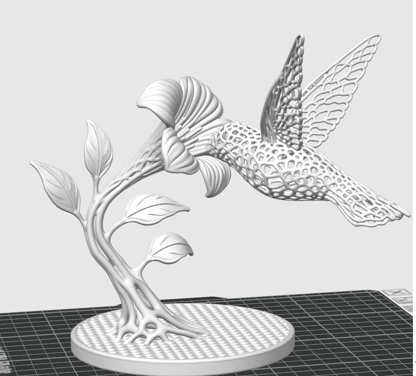Hummingbird