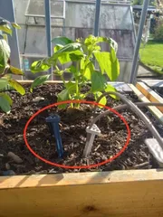 Watering Pin for Balkony Watering System