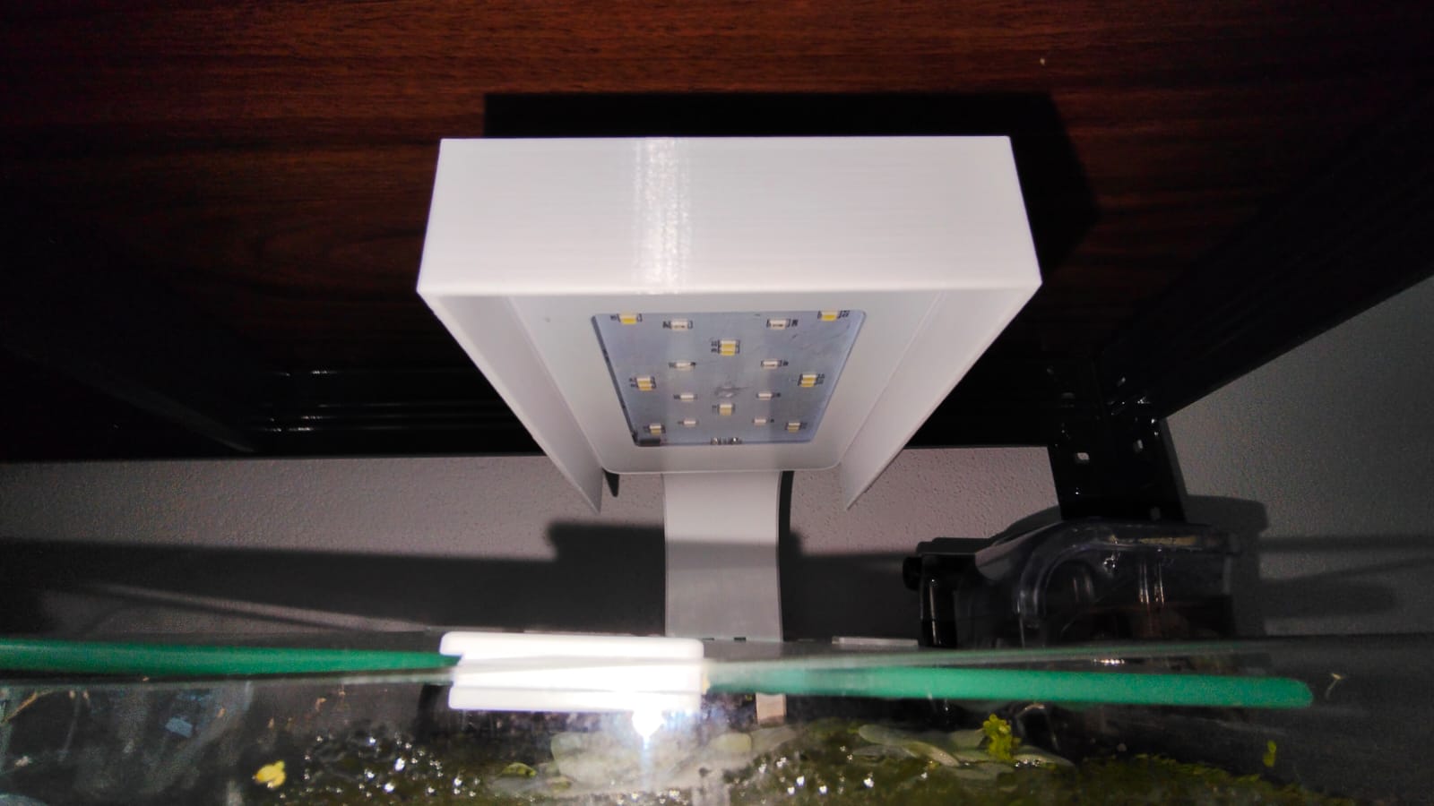 Shrimp Aquarium Light shade