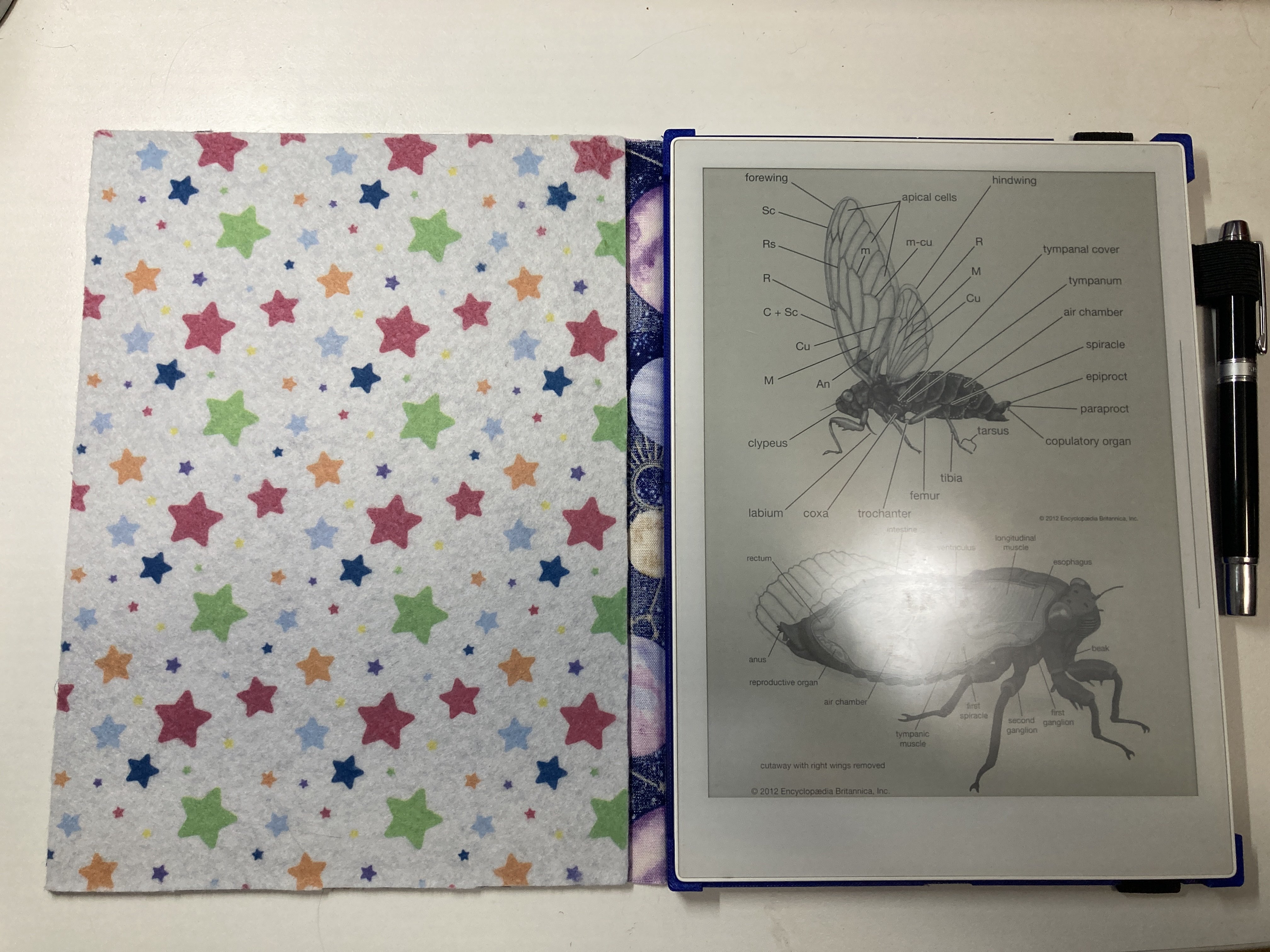 Supernote A5X case — miniatura 2