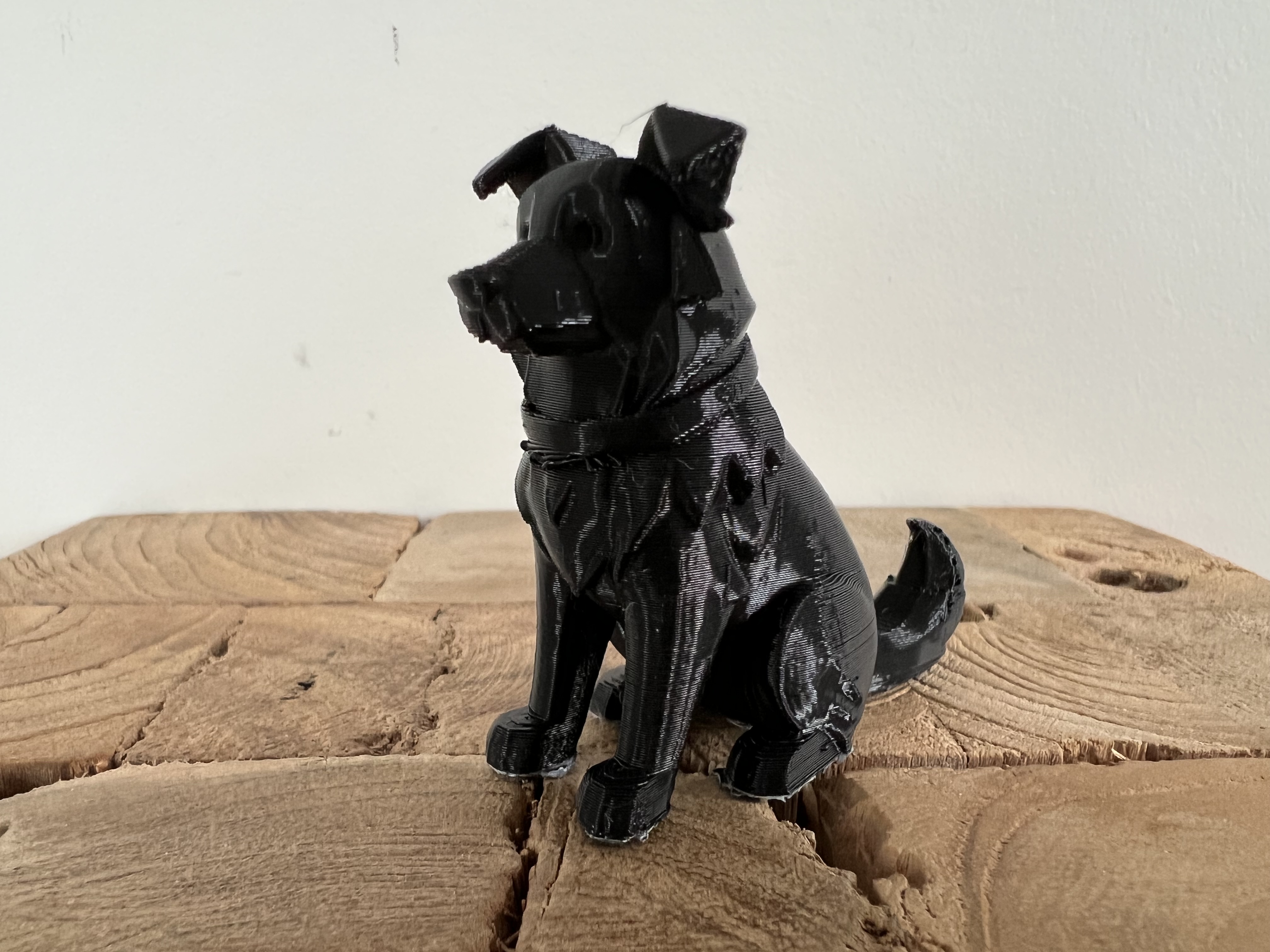 Miniatura 4 do modelo 3D Sitting Border Collie
