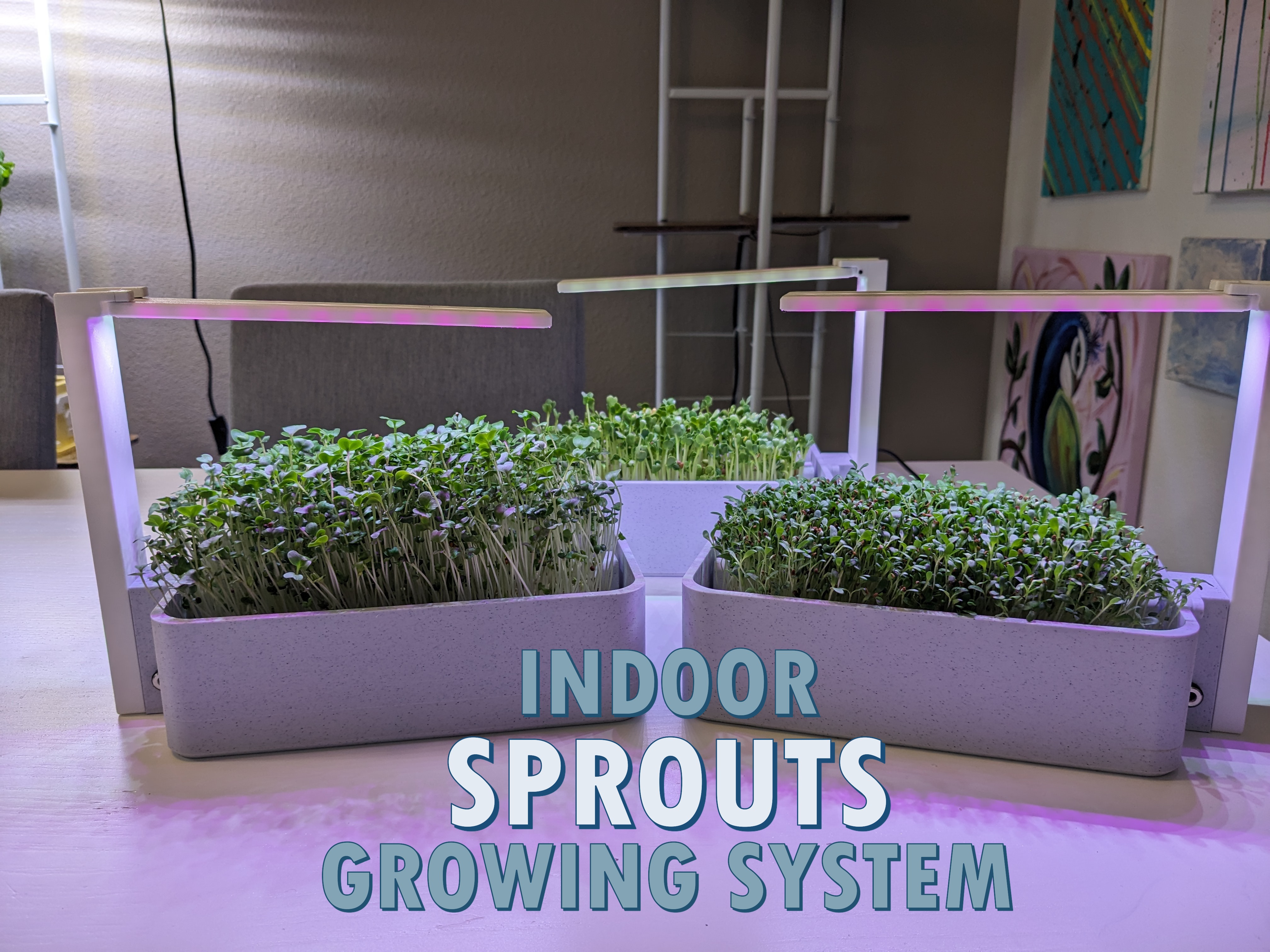 Smart Sprouts/Green Indoor Growing System