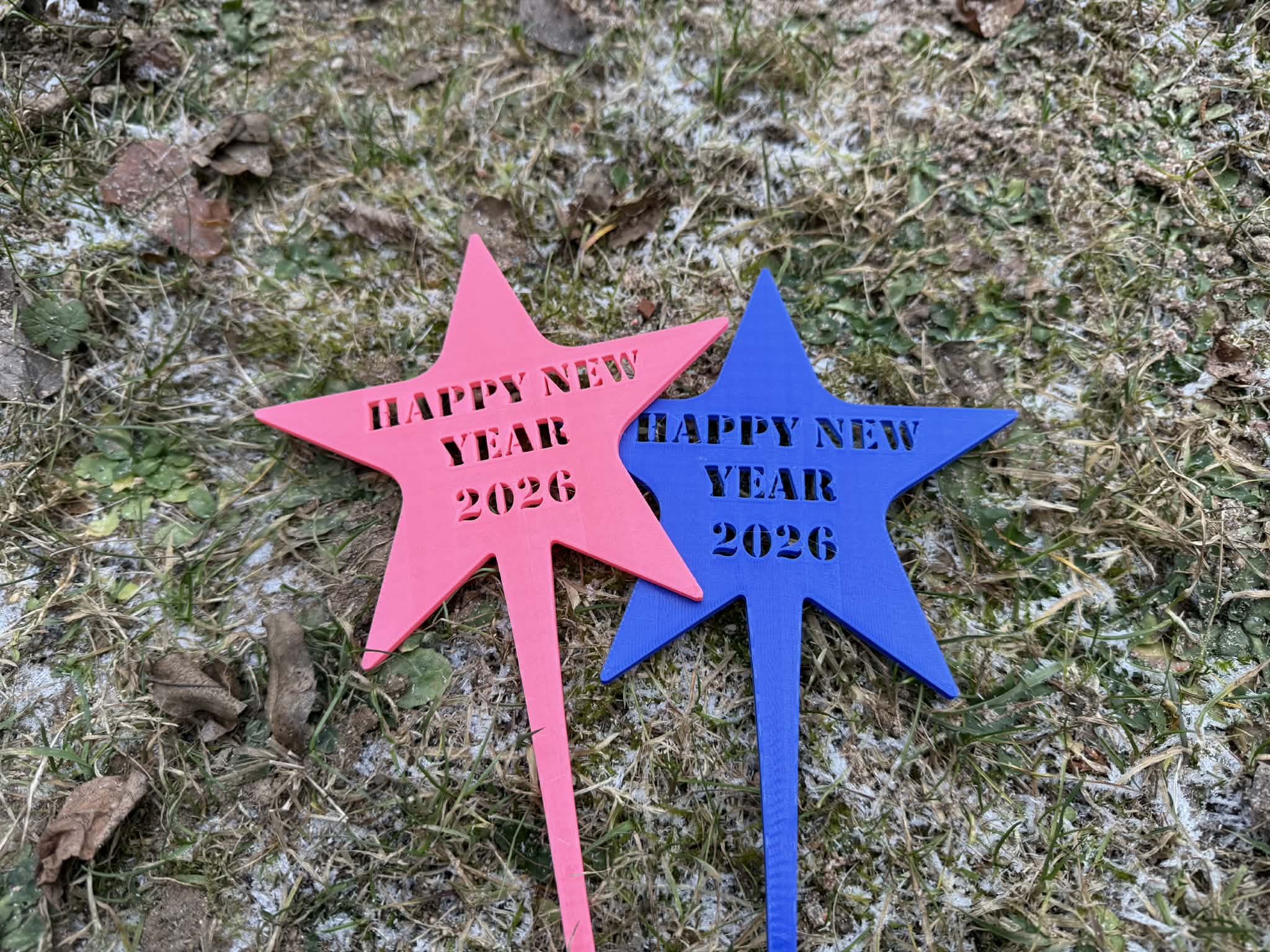 Happy New Year 2026, a magical photo shoot